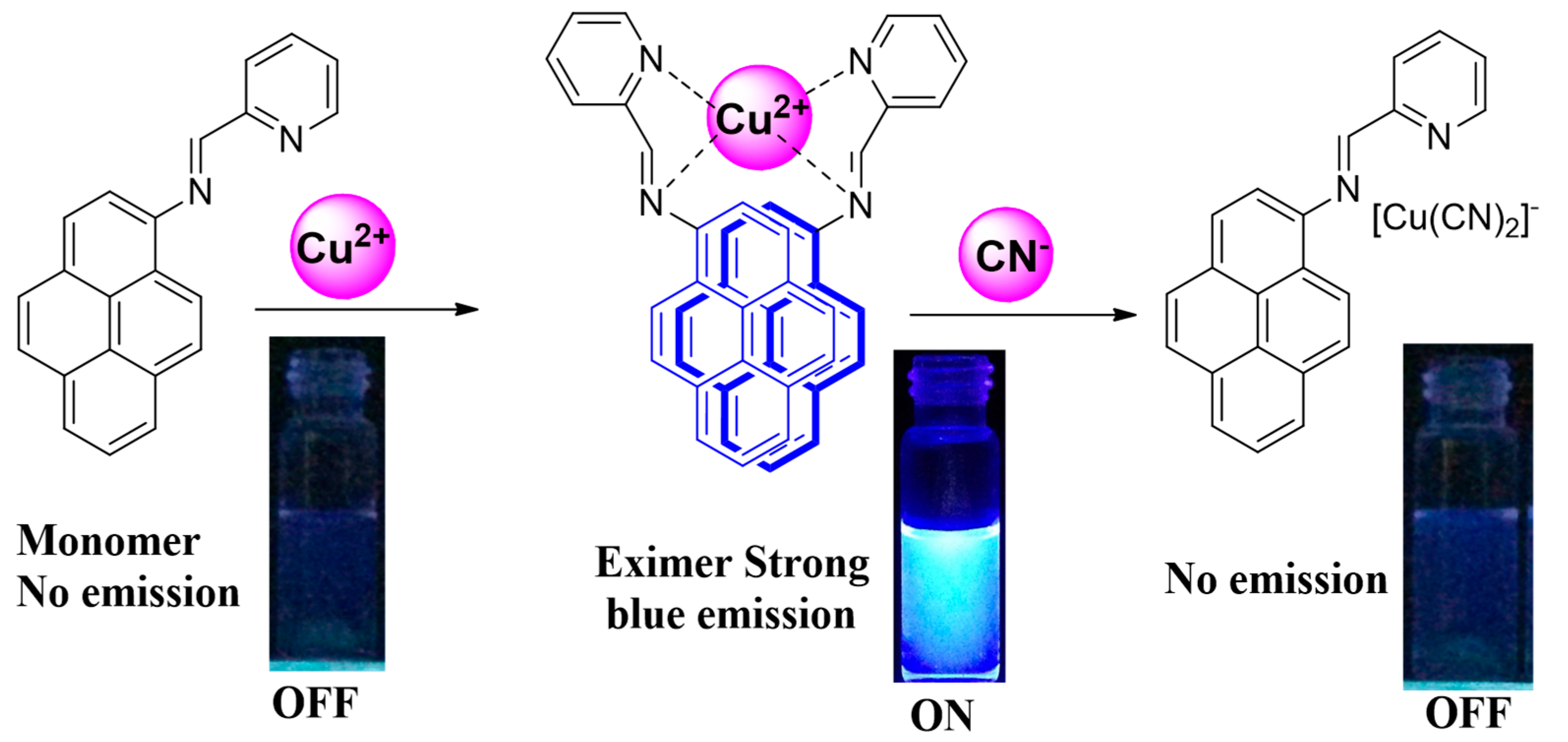Chemosensors 11 00115 g001