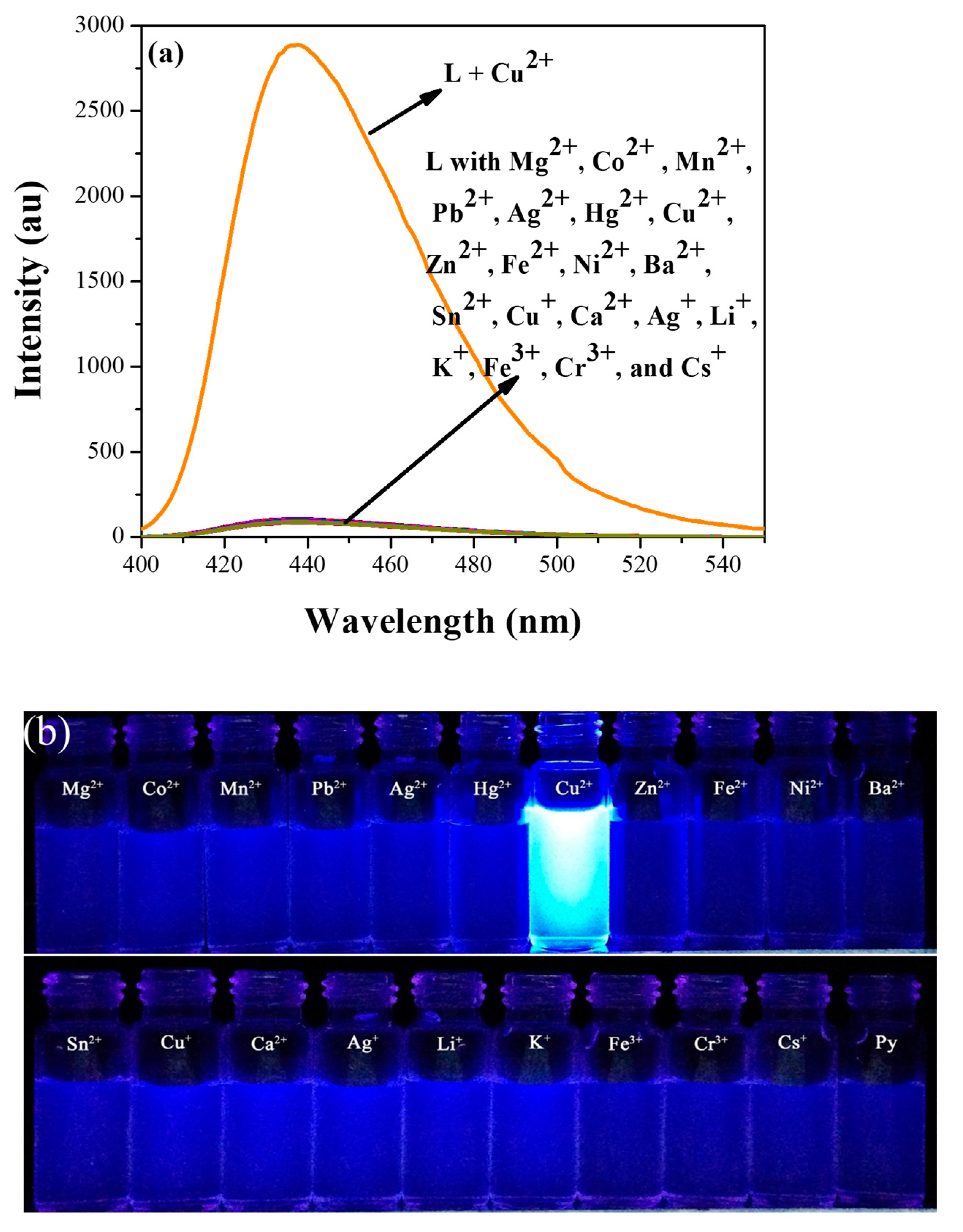 Chemosensors 11 00115 g003
