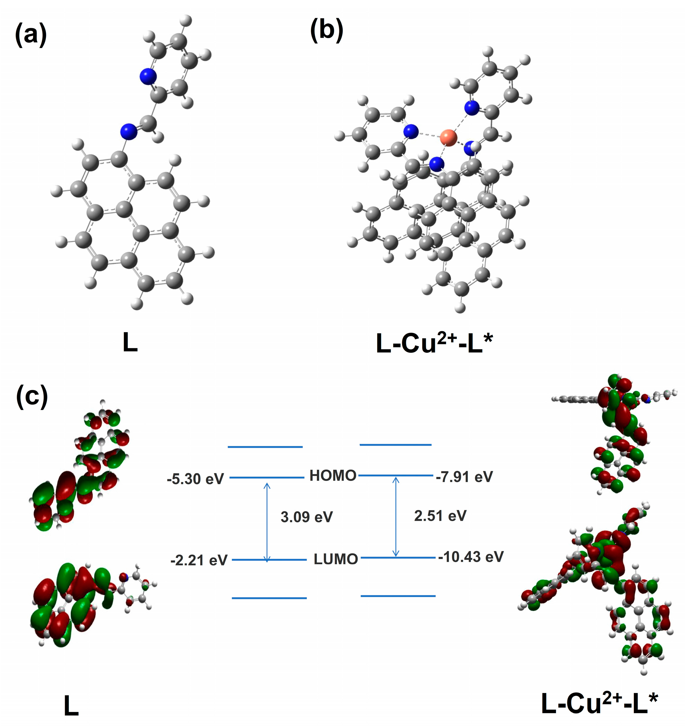 Chemosensors 11 00115 g008