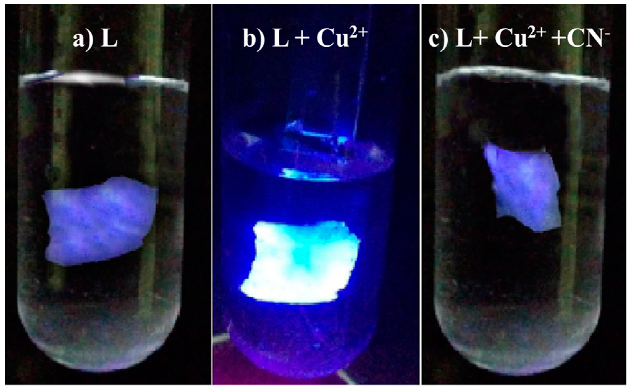 Chemosensors 11 00115 g011