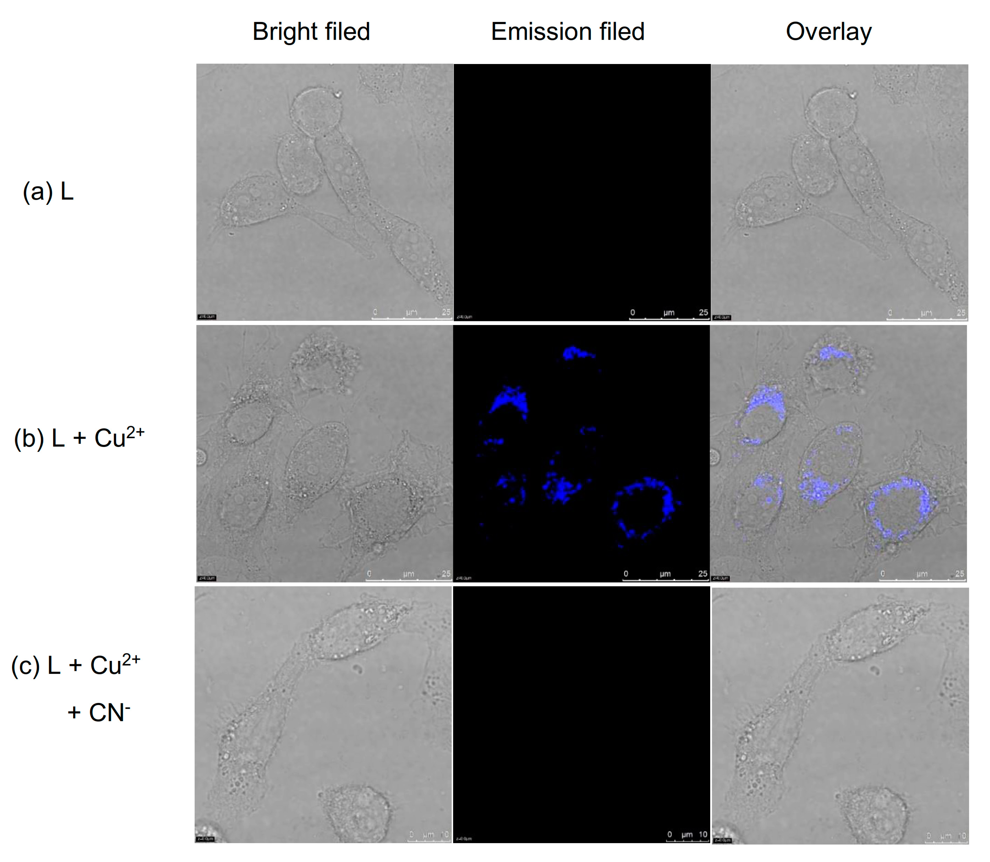 Chemosensors 11 00115 g012