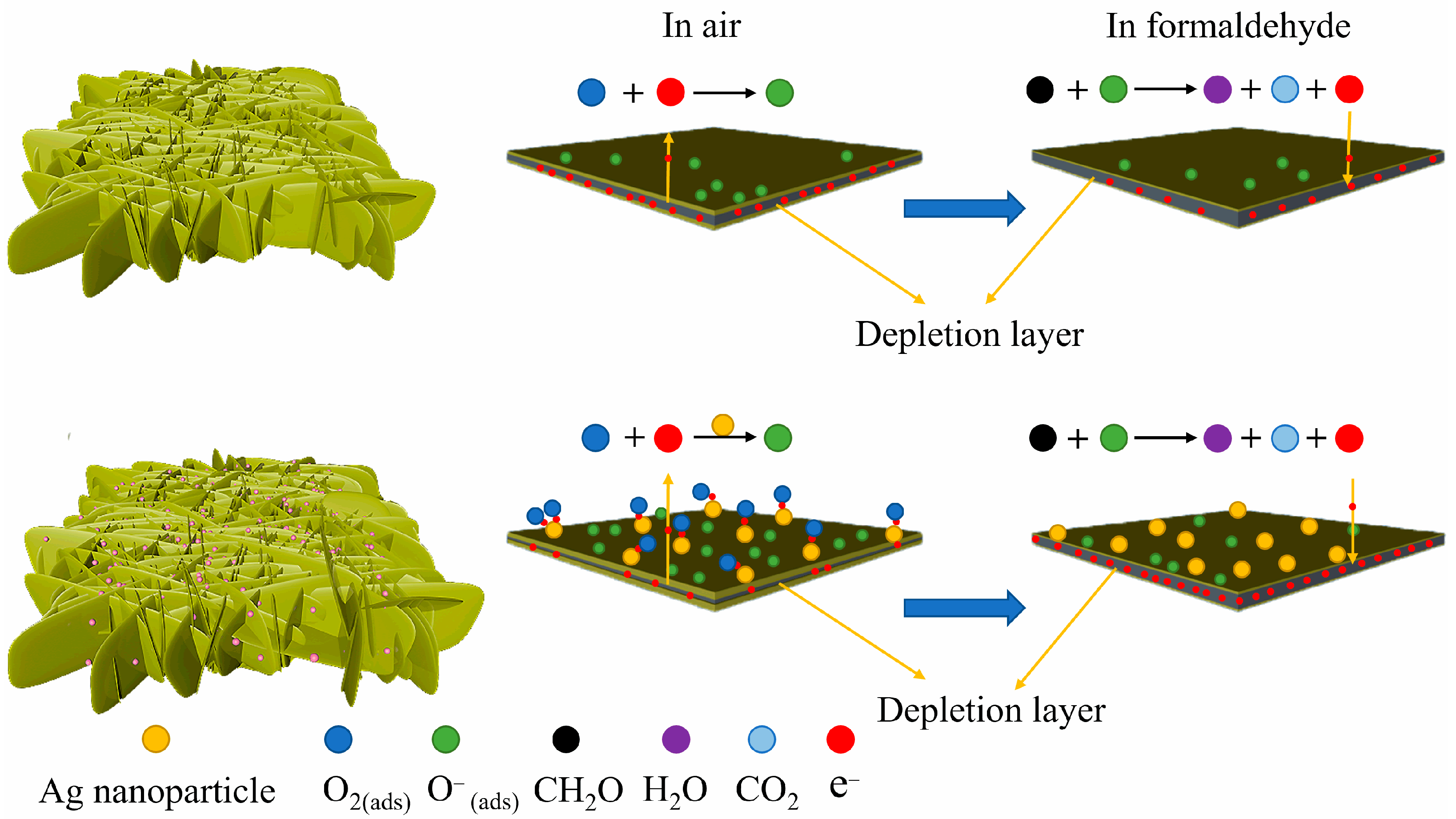 Chemosensors 11 00116 g010