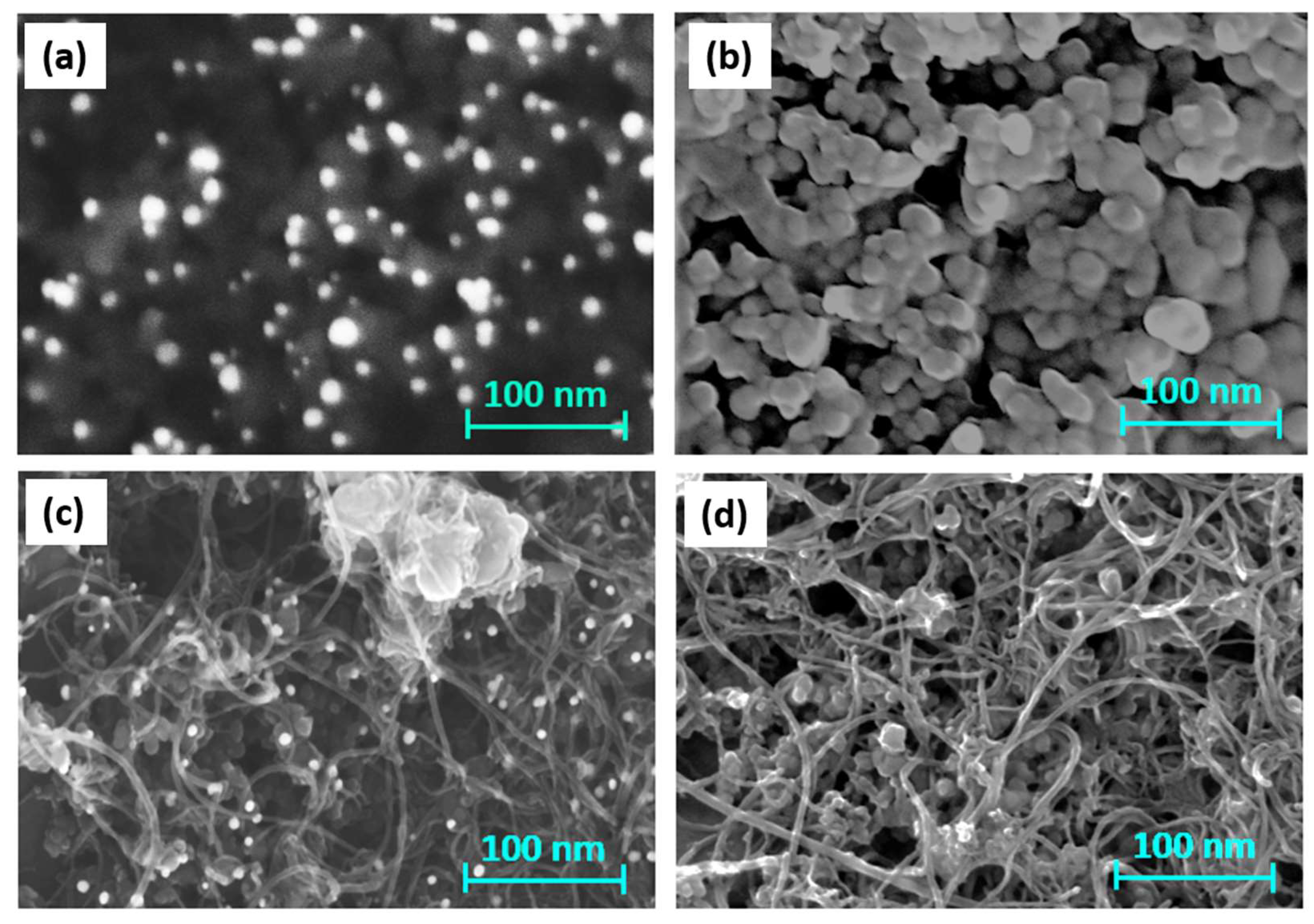 Chemosensors 11 00117 g002