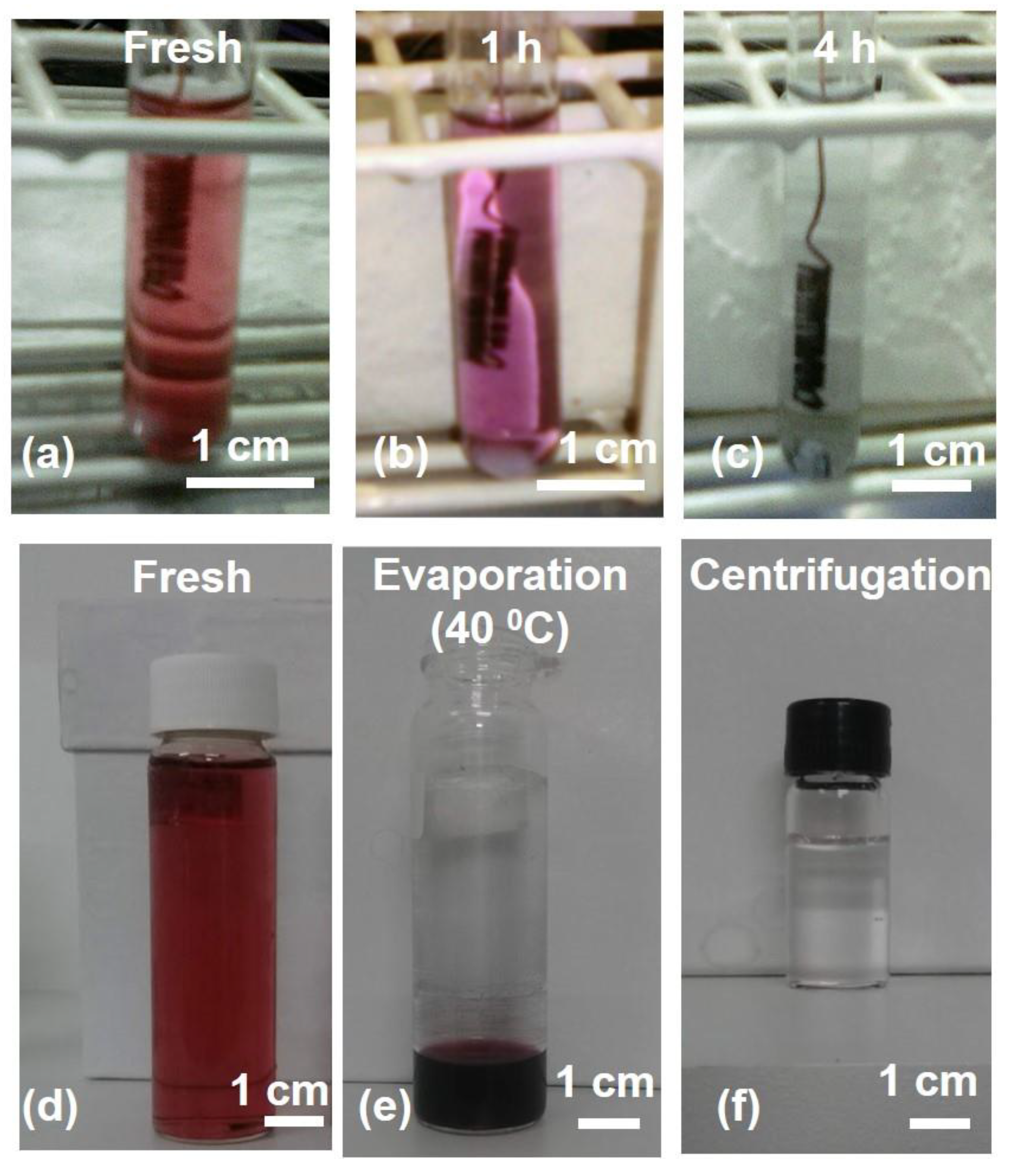 Chemosensors 11 00118 g001