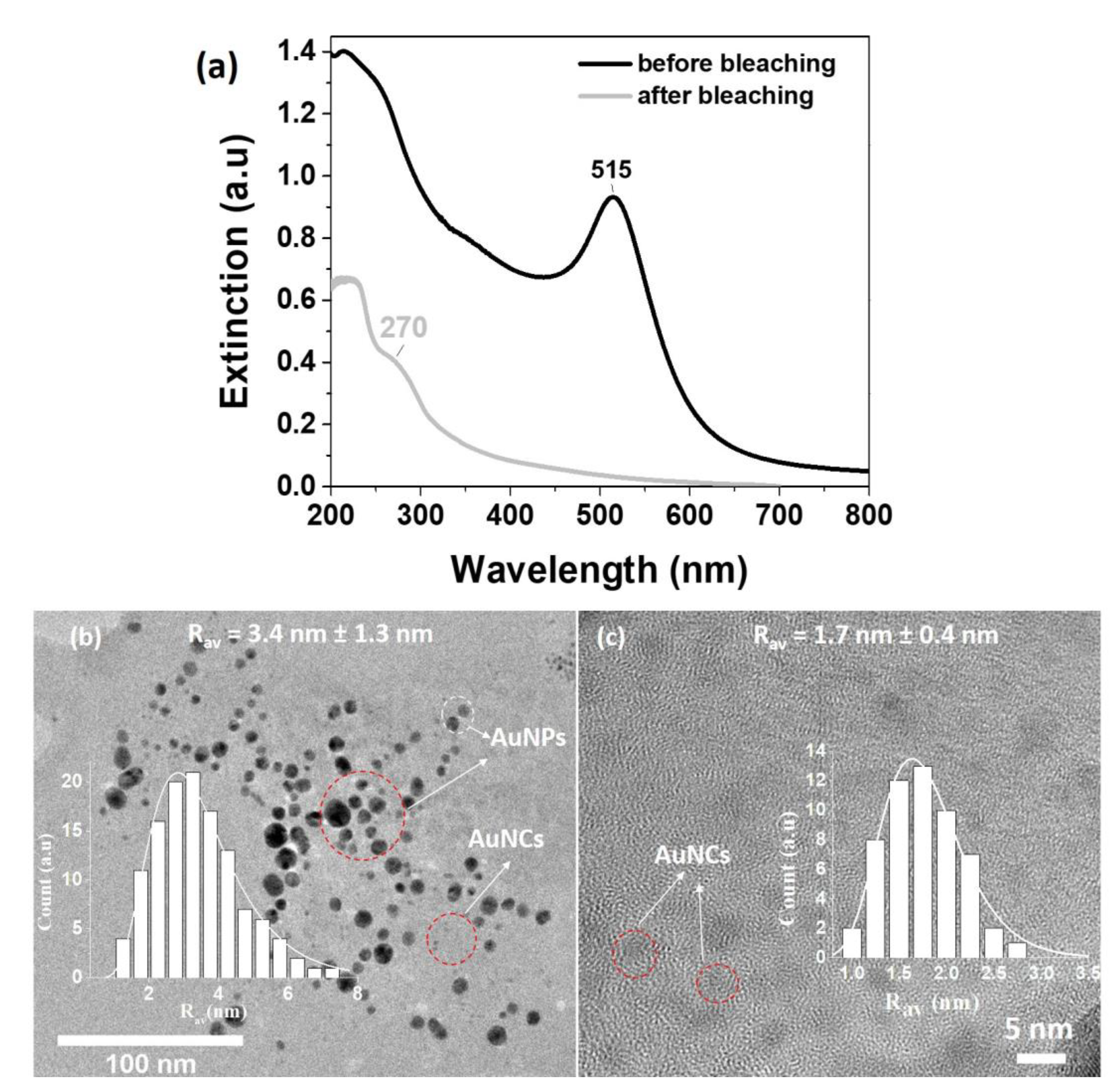 Chemosensors 11 00118 g002