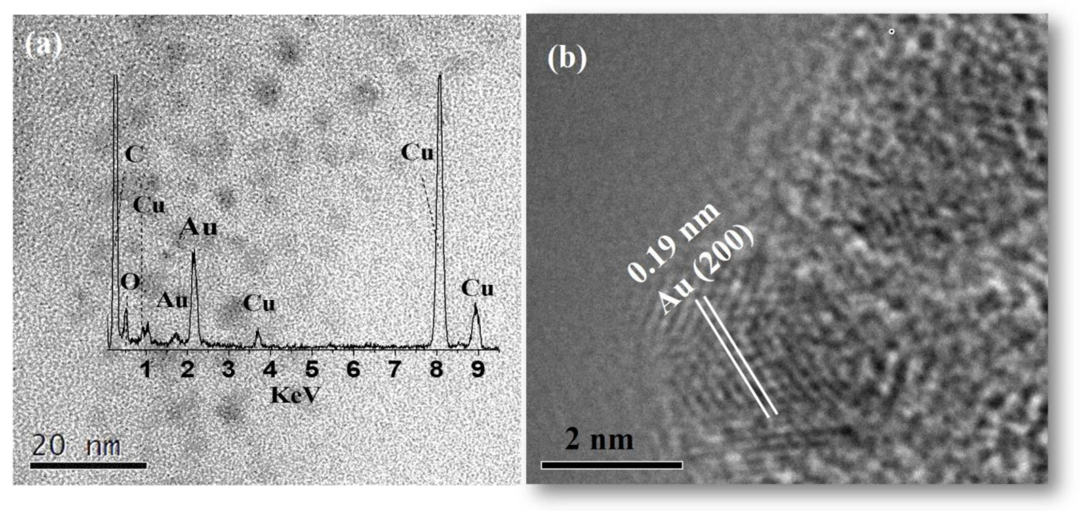 Chemosensors 11 00118 g004