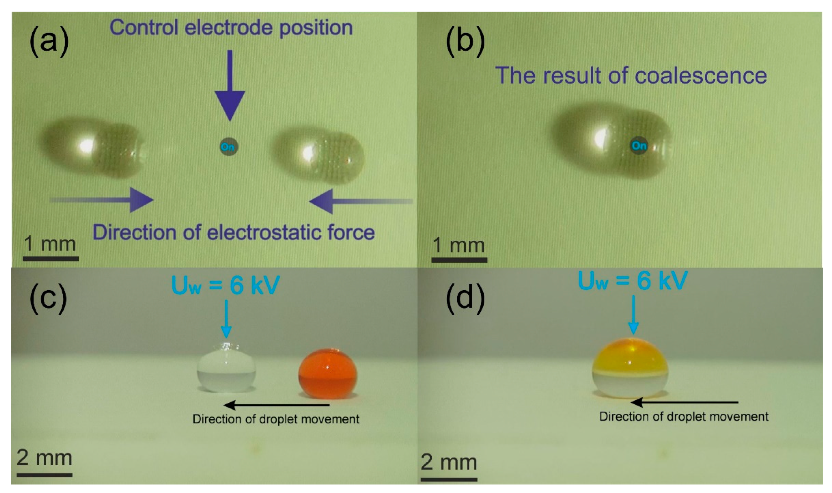 Chemosensors 11 00120 g005 Chemosensors 11 00120 g005