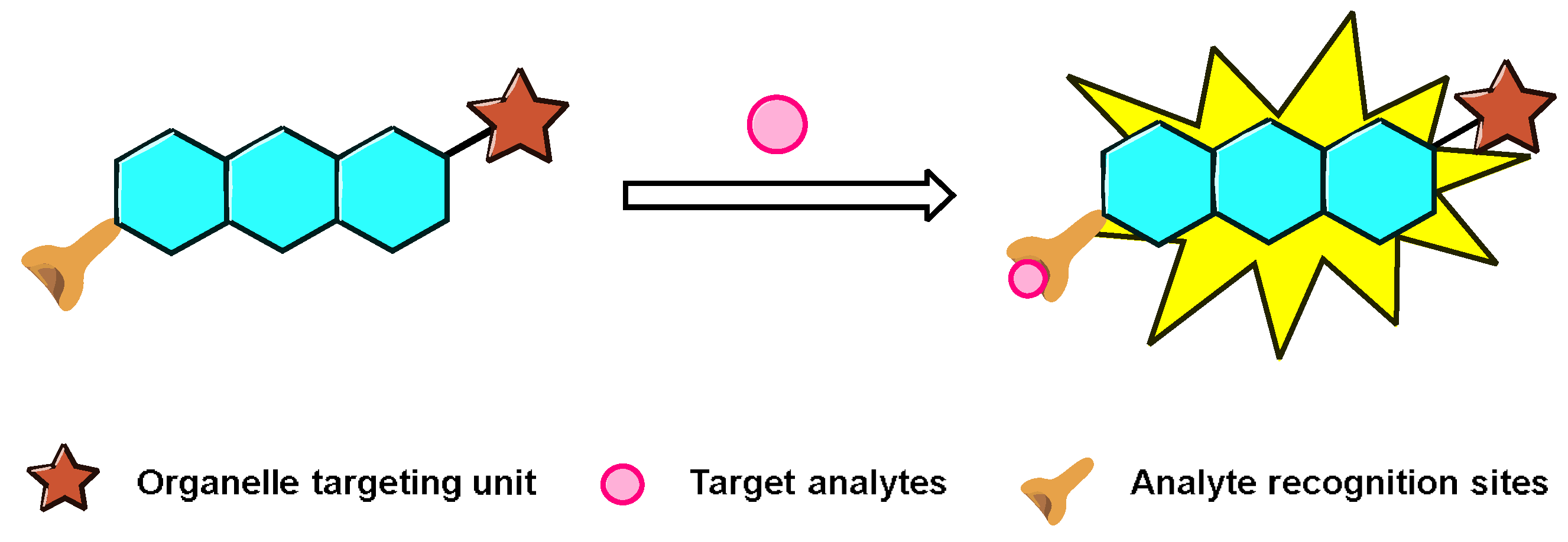 Chemosensors 11 00125 g001