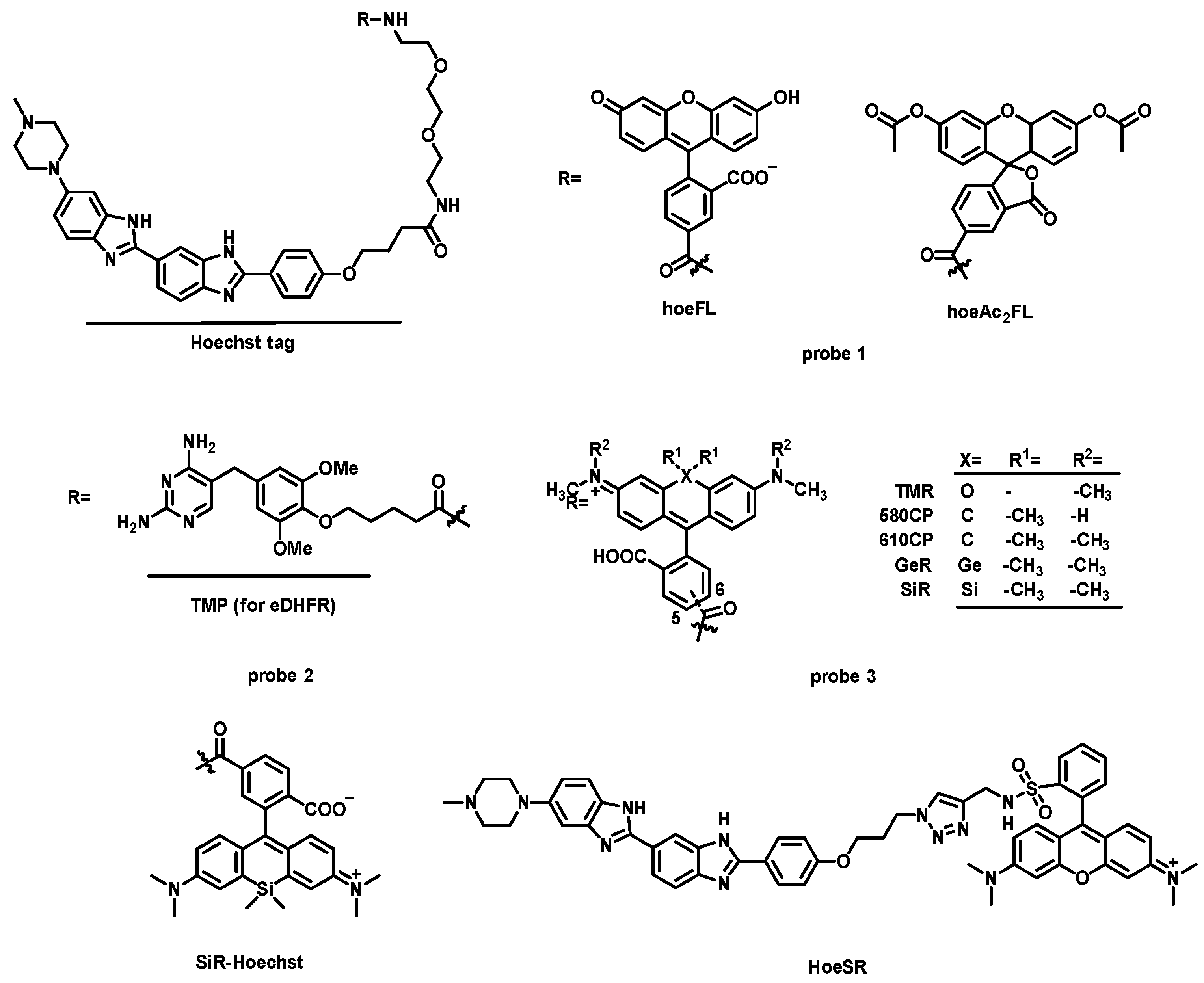 Chemosensors 11 00125 g005