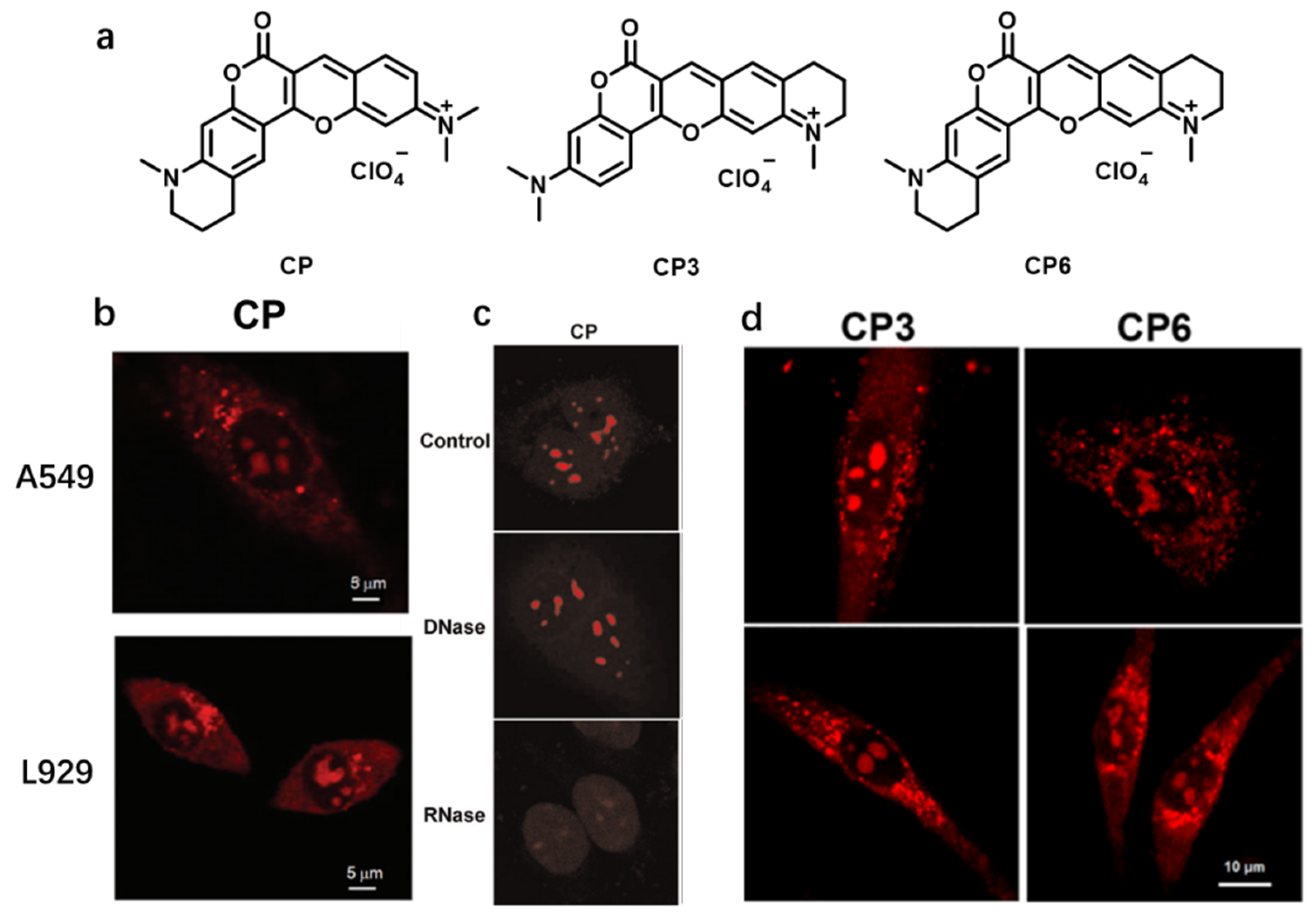 Chemosensors 11 00125 g009