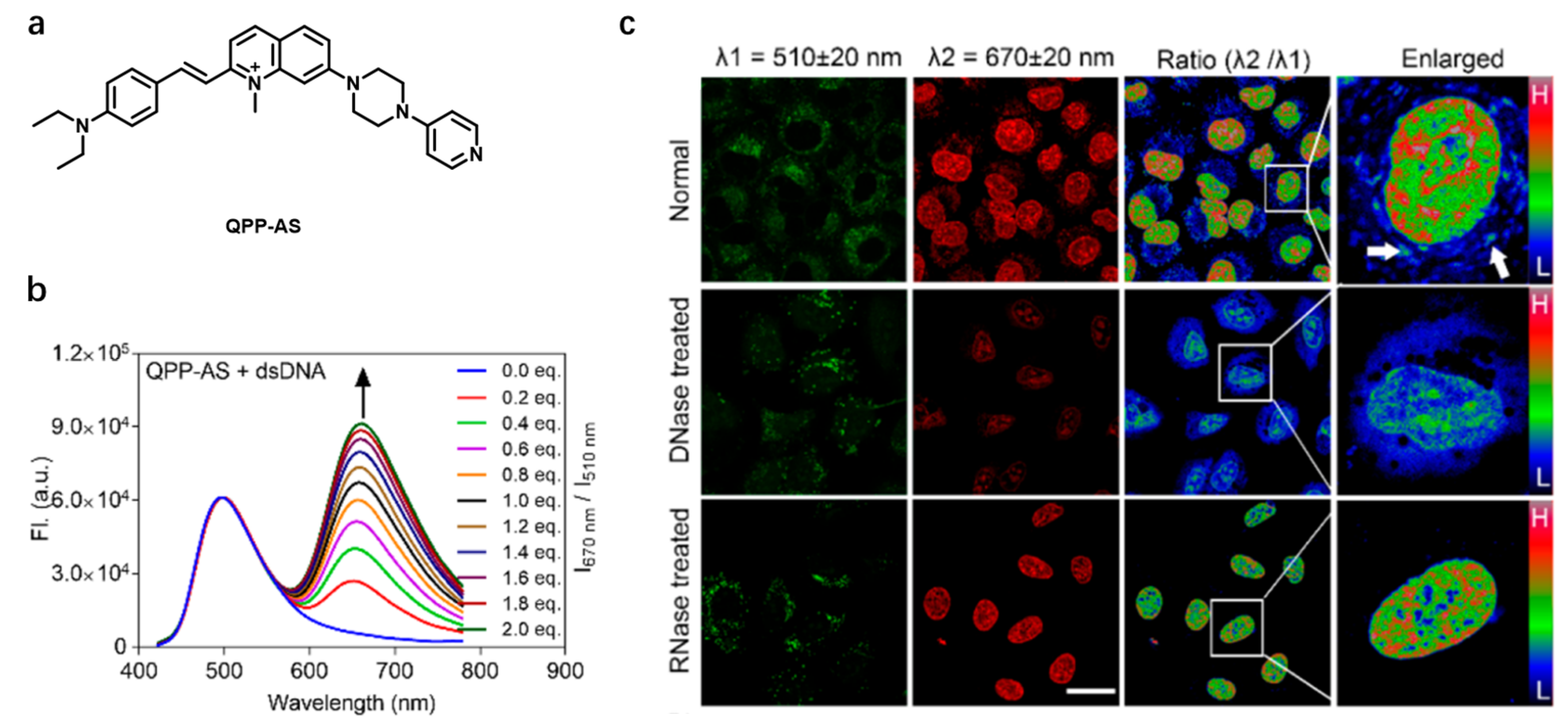 Chemosensors 11 00125 g013
