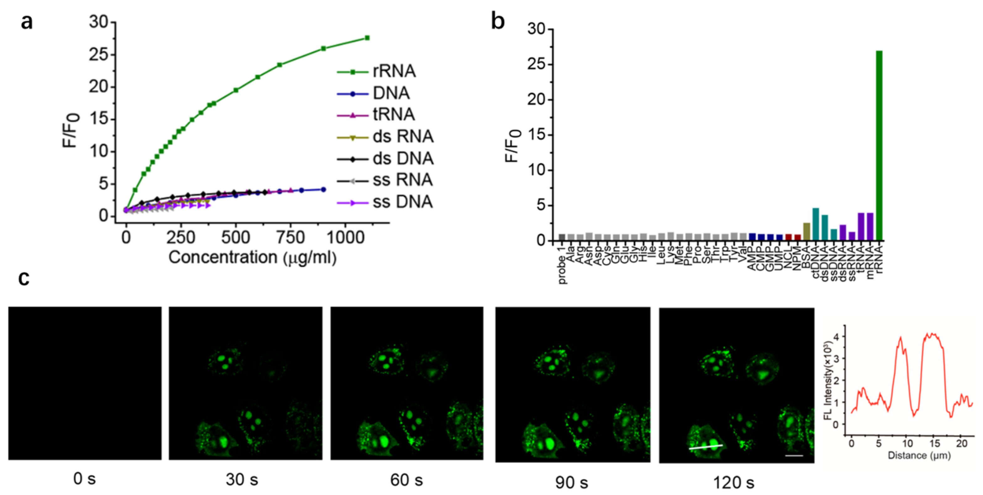 Chemosensors 11 00125 g015