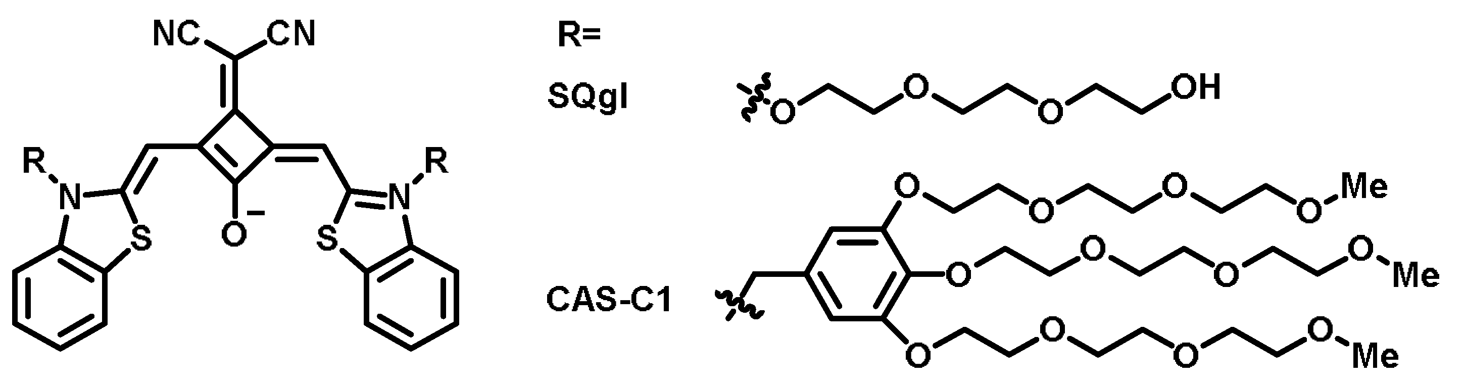 Chemosensors 11 00125 g017