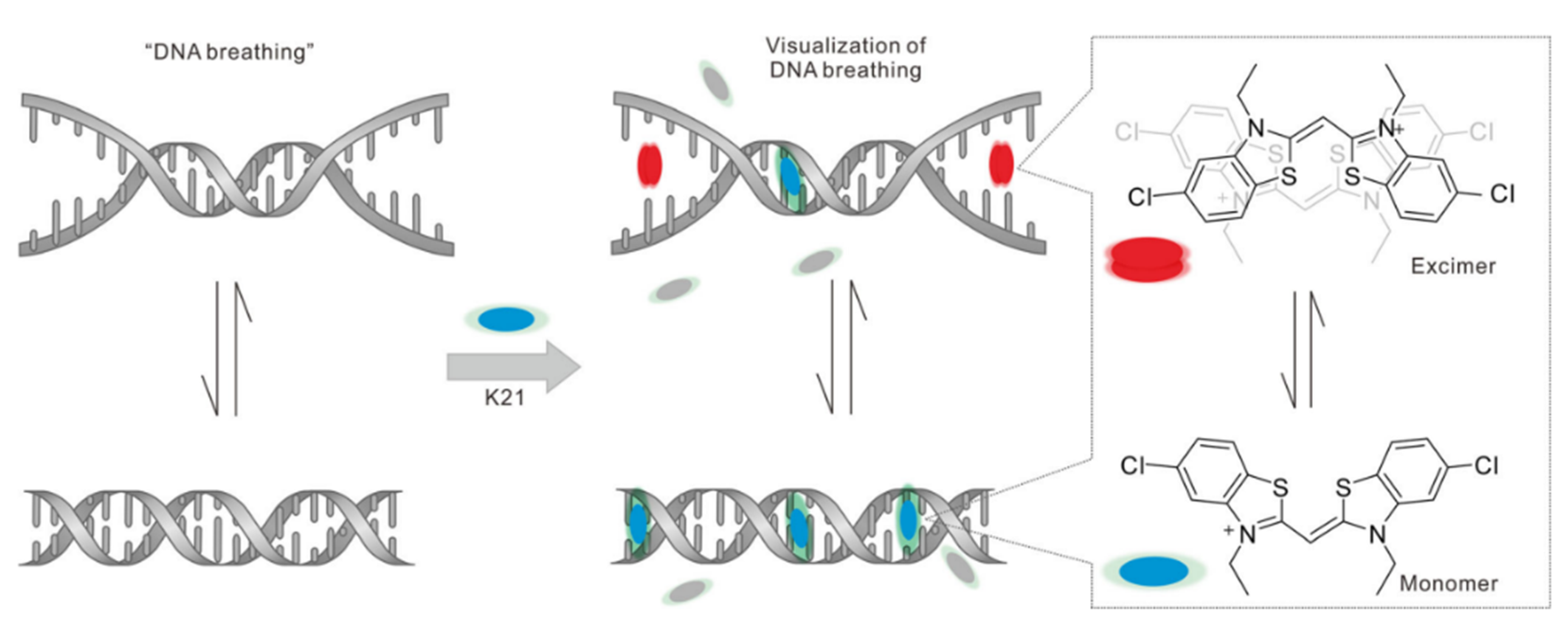 Chemosensors 11 00125 g018