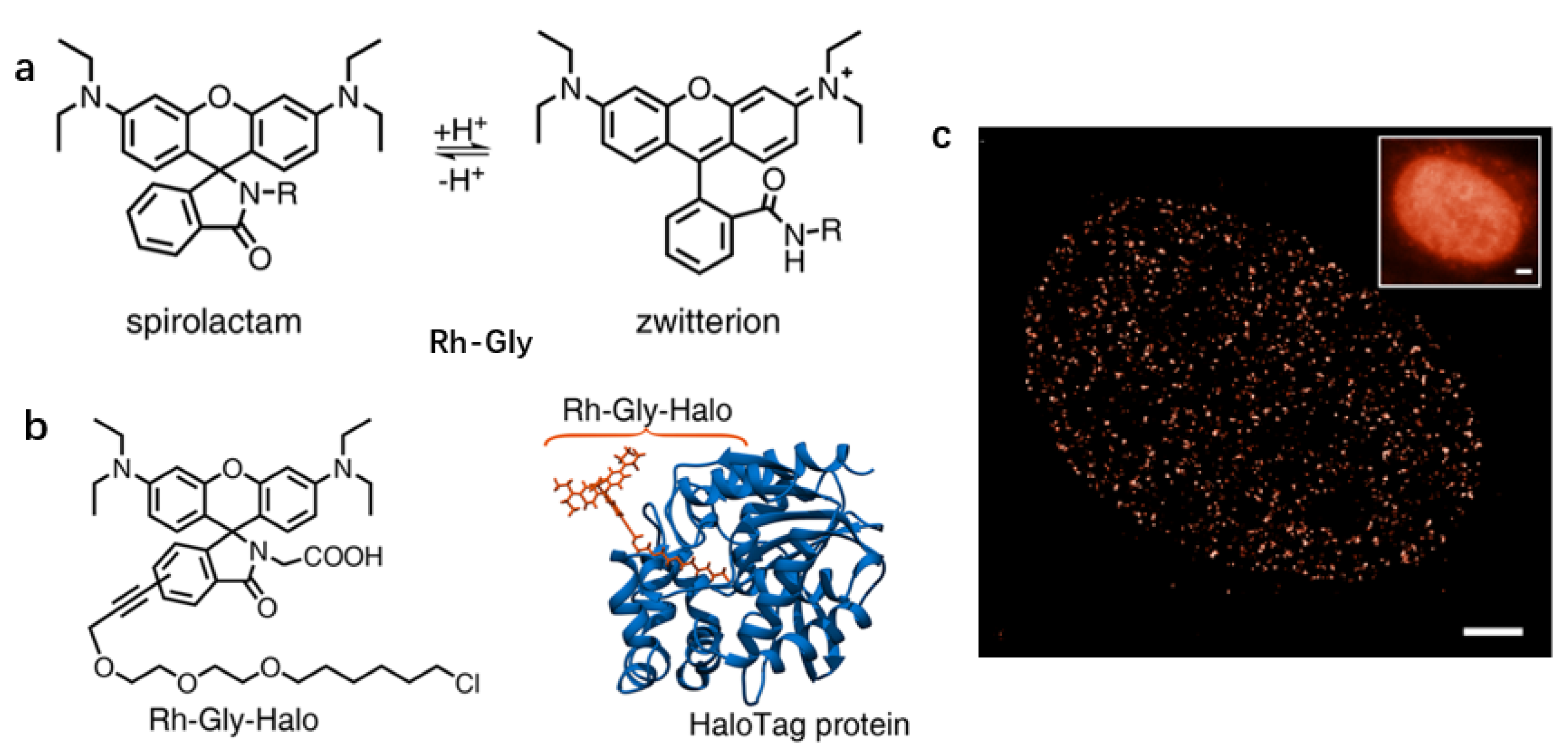 Chemosensors 11 00125 g019