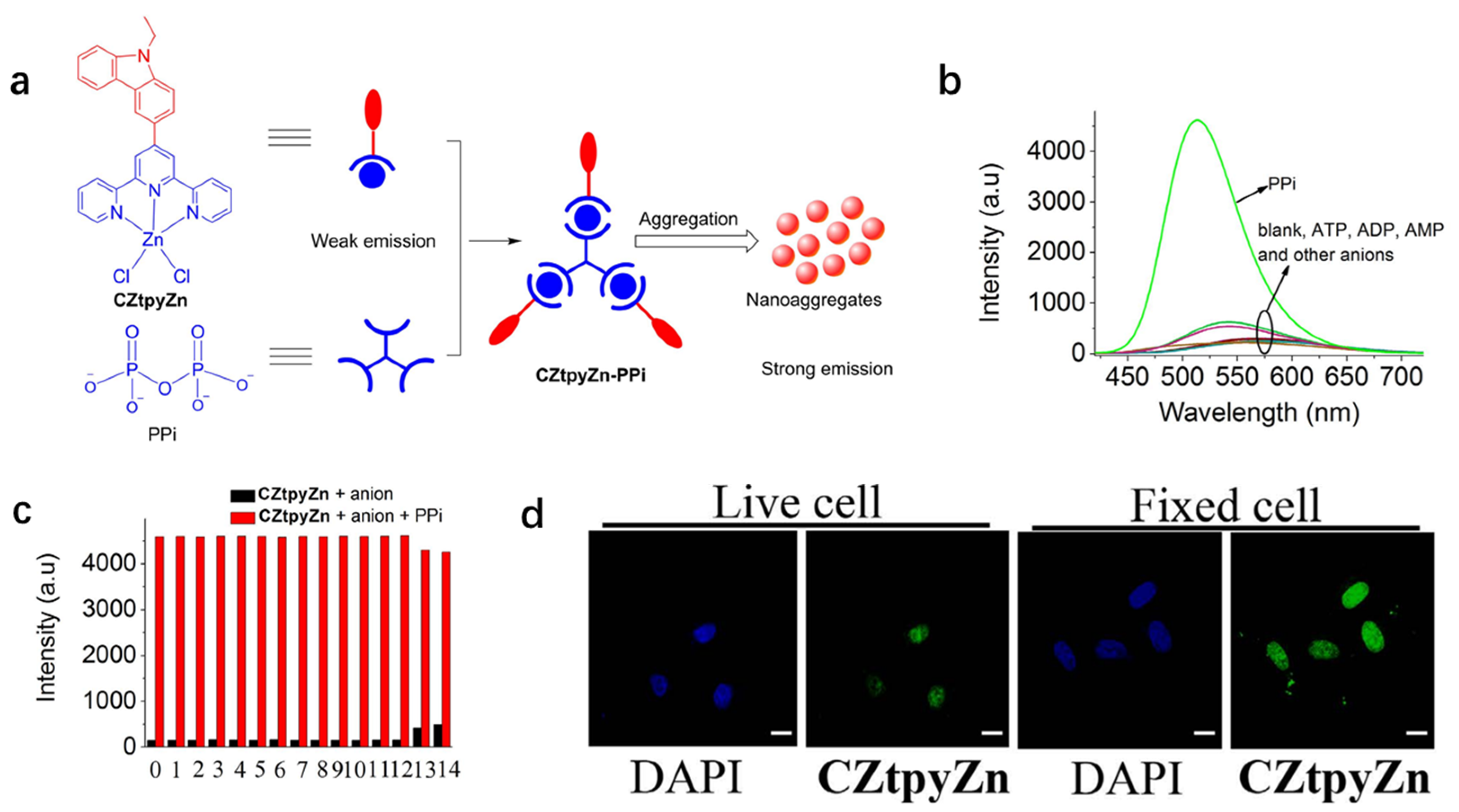 Chemosensors 11 00125 g021