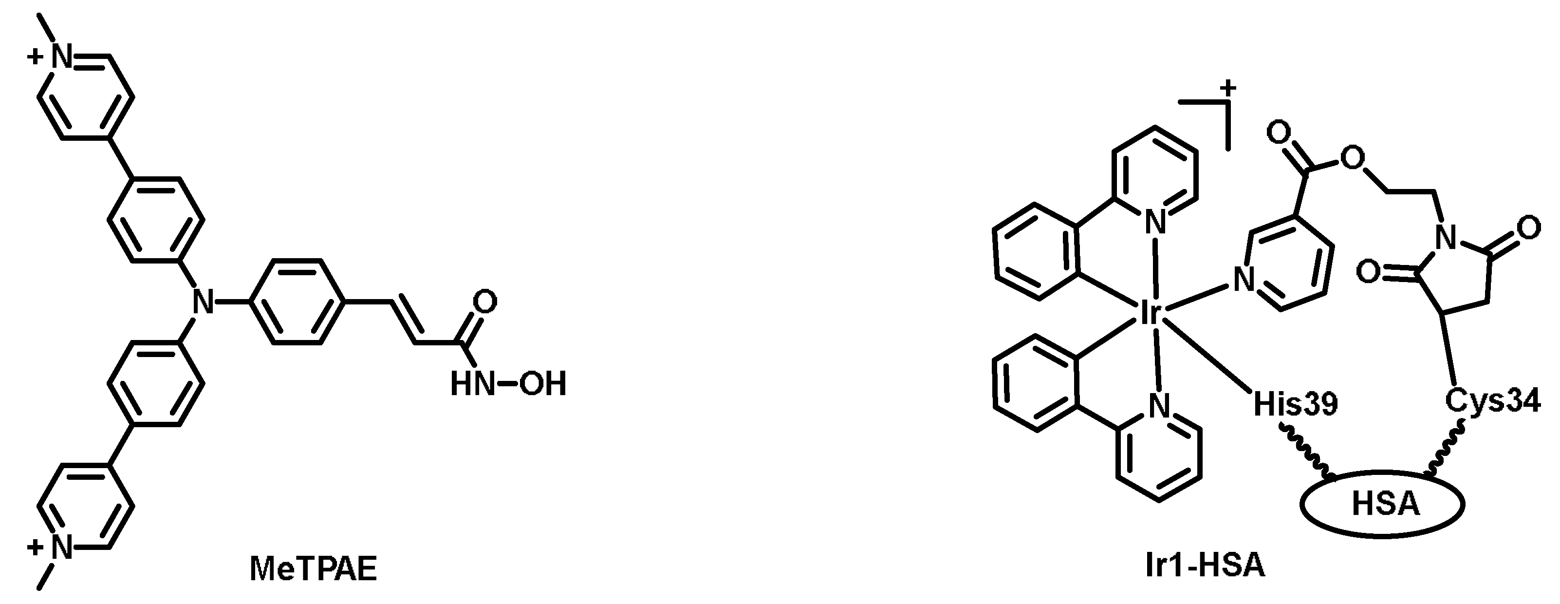 Chemosensors 11 00125 g024