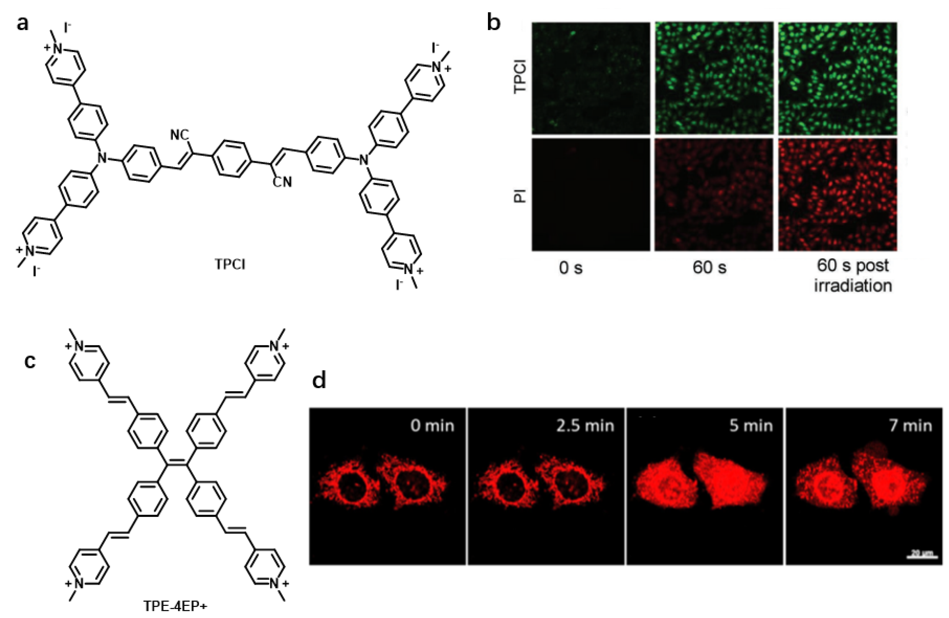 Chemosensors 11 00125 g025