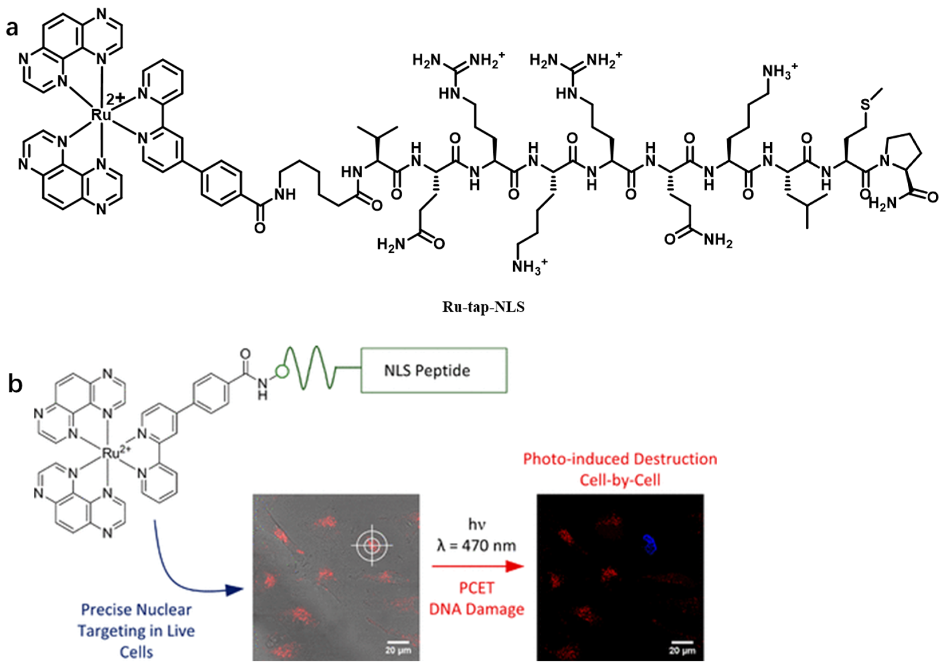 Chemosensors 11 00125 g027