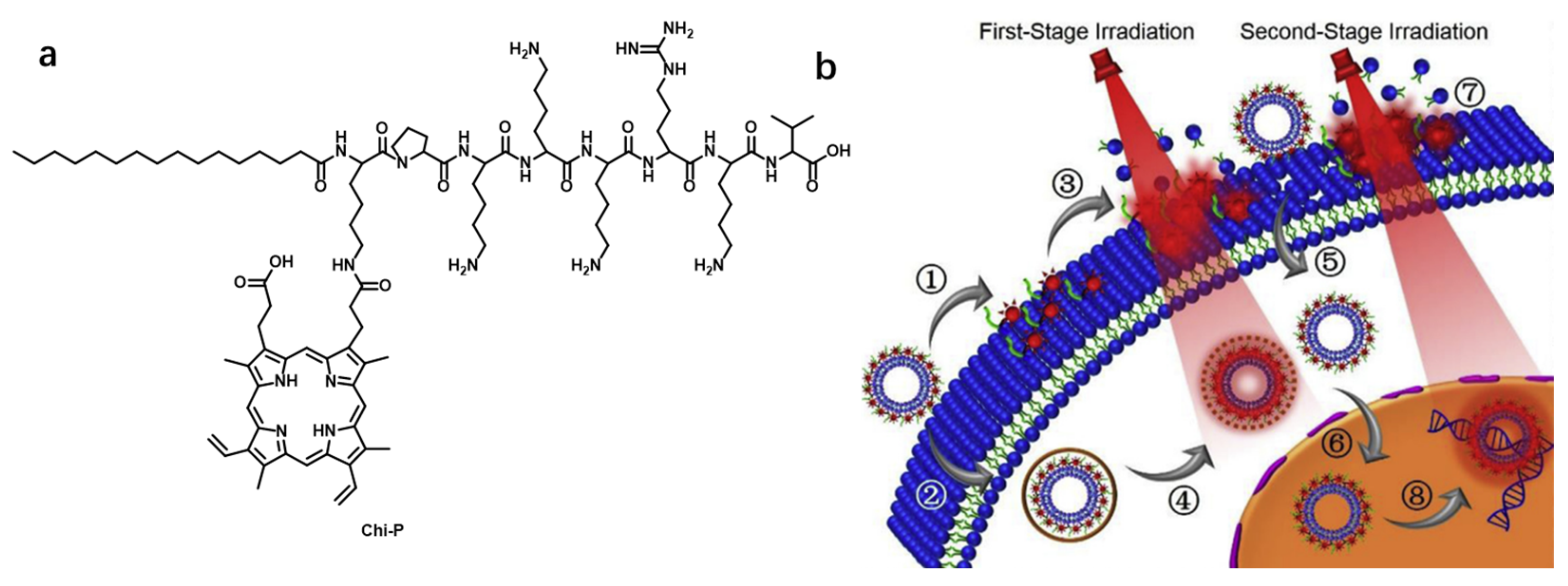Chemosensors 11 00125 g028