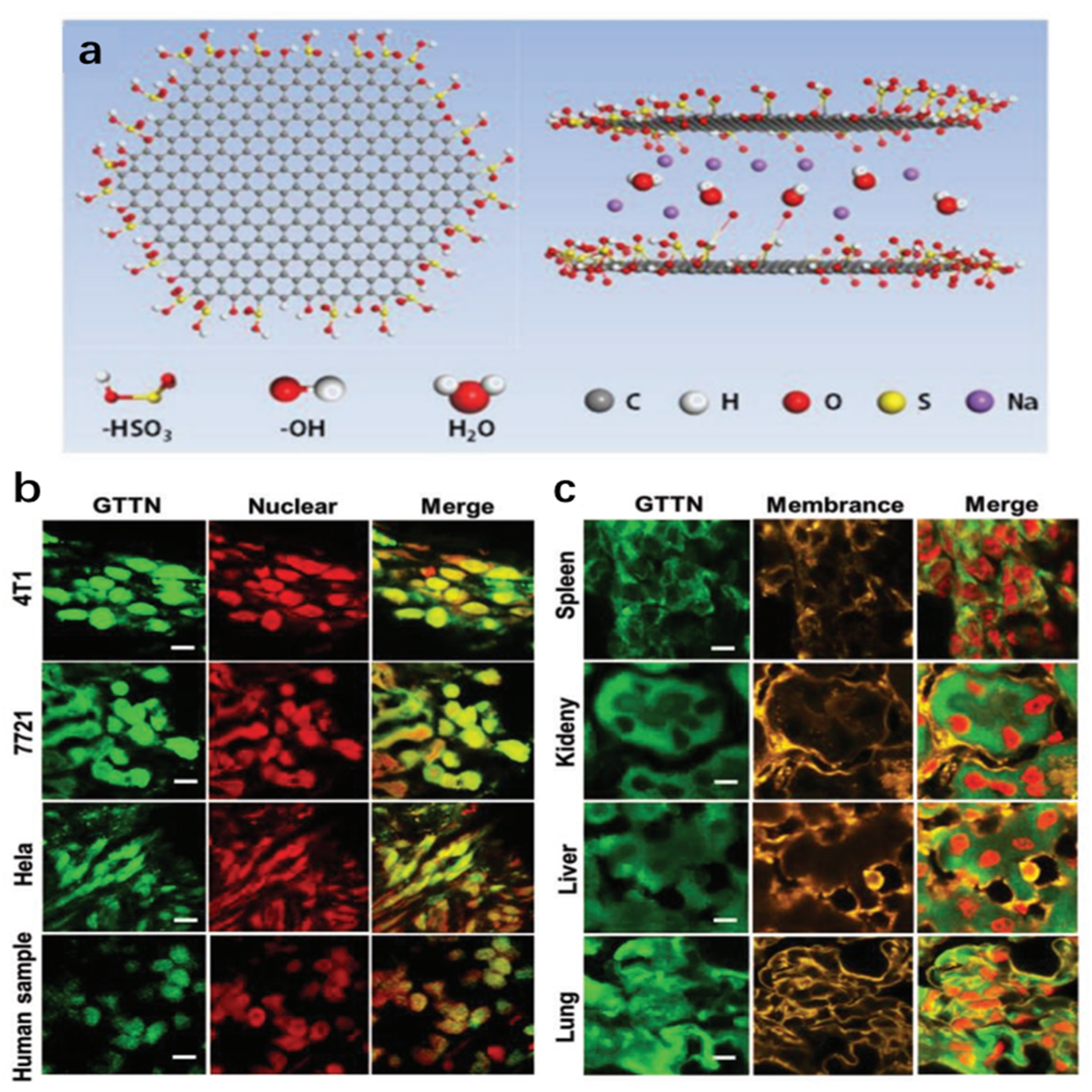 Chemosensors 11 00125 g030