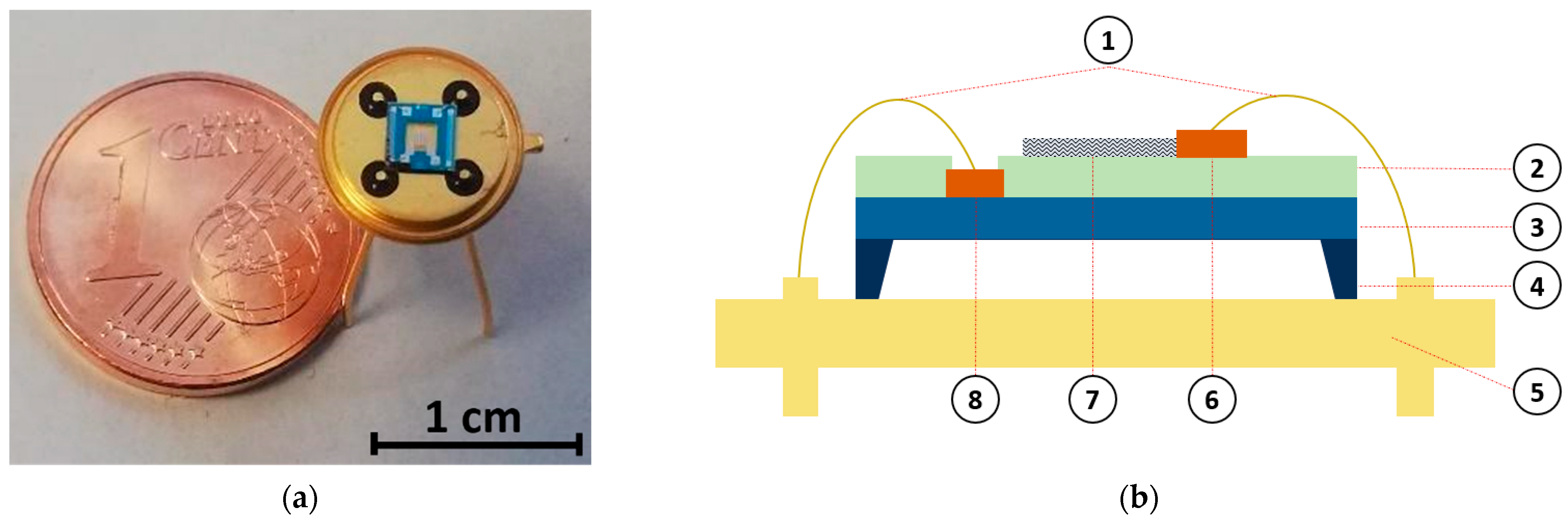 Chemosensors 11 00127 g001 Chemosensors 11 00127 g001