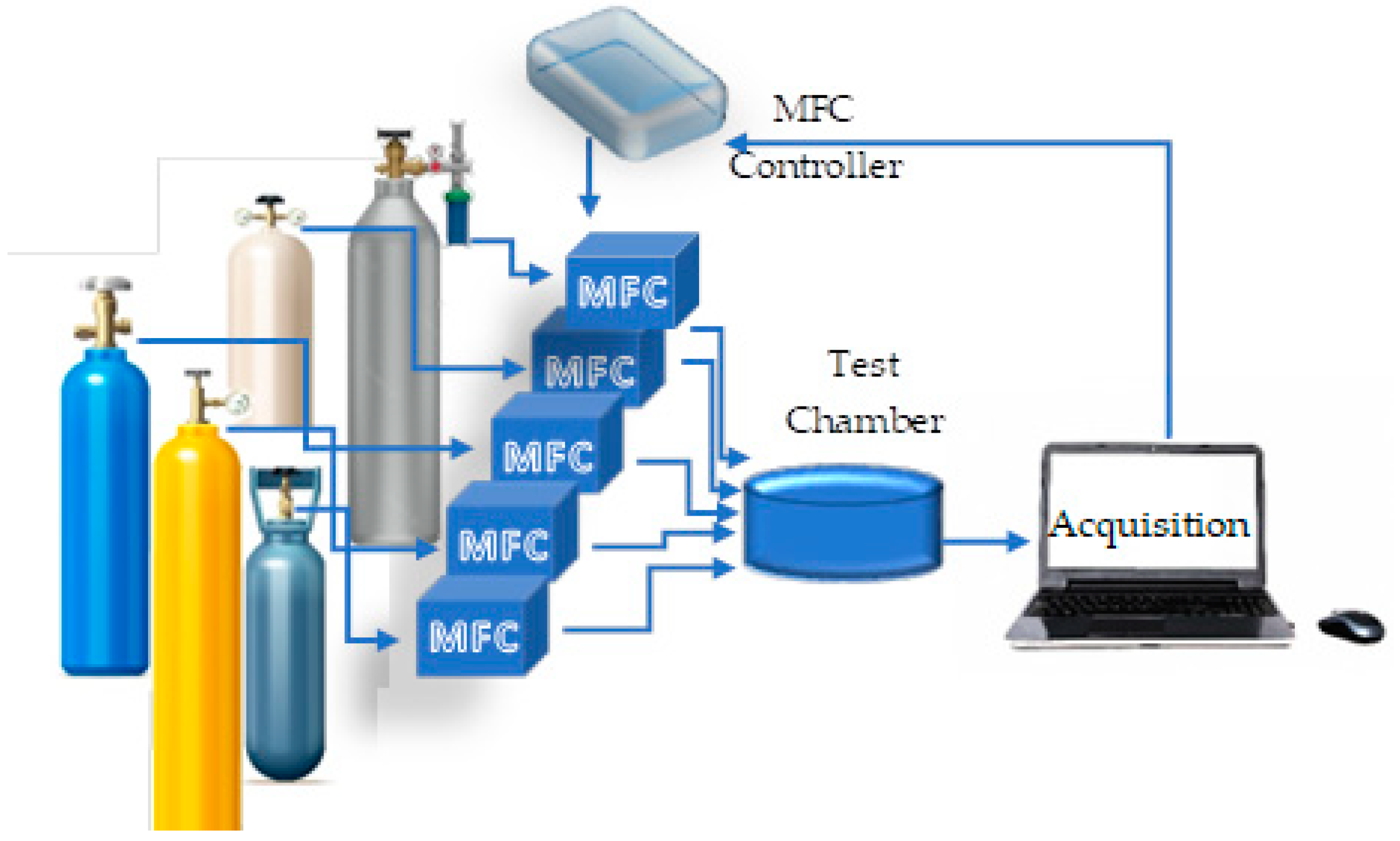 Chemosensors 11 00132 g001