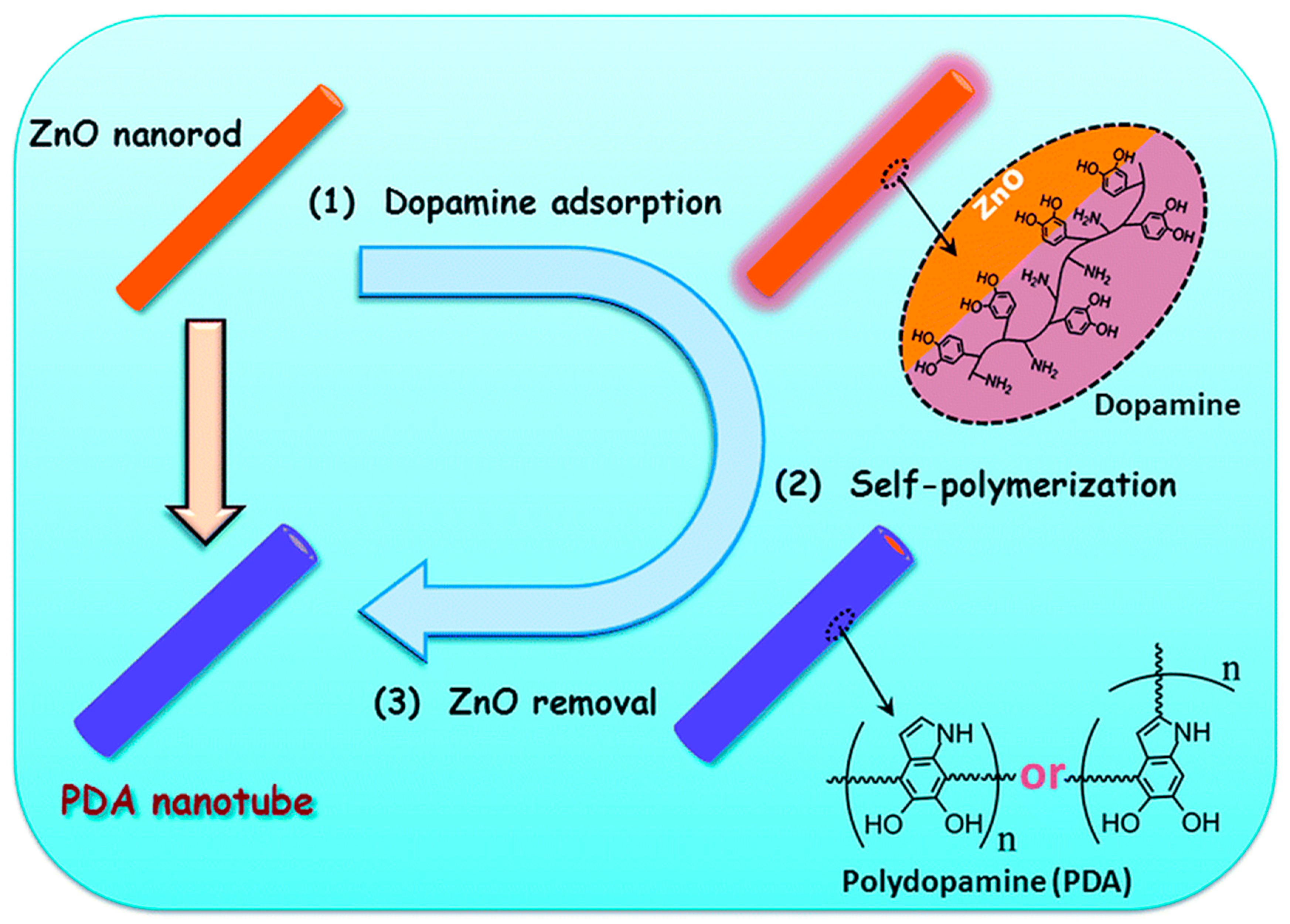 Chemosensors 11 00134 g001