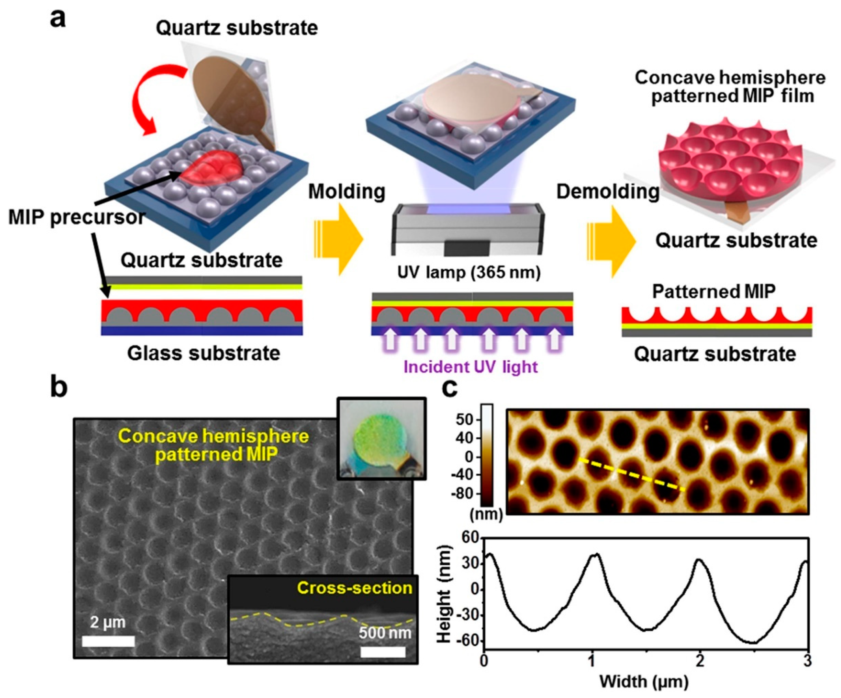 Chemosensors 11 00134 g002