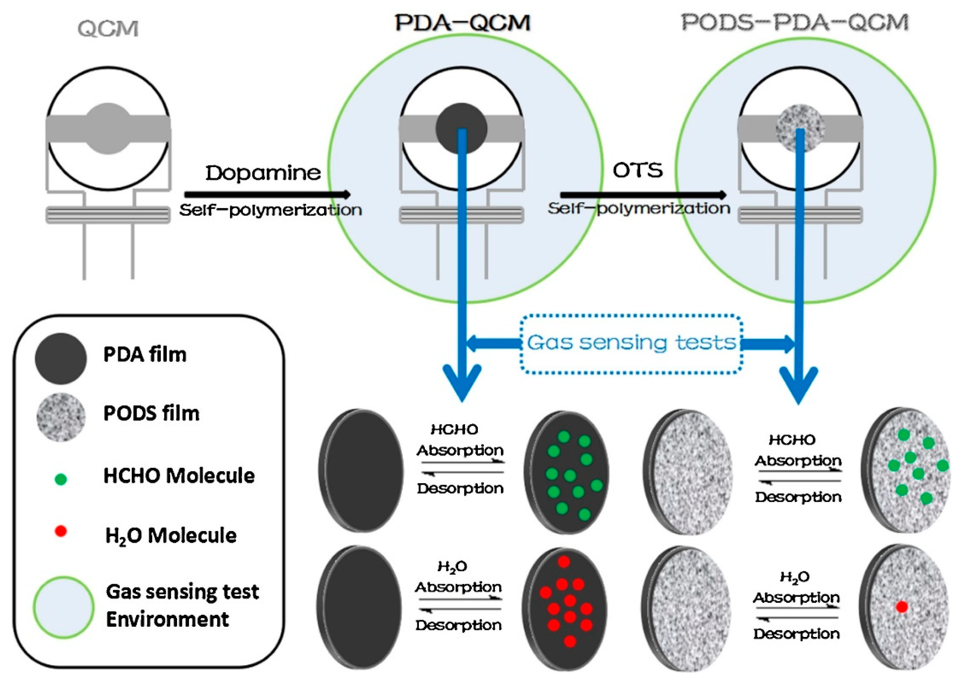Chemosensors 11 00134 g006