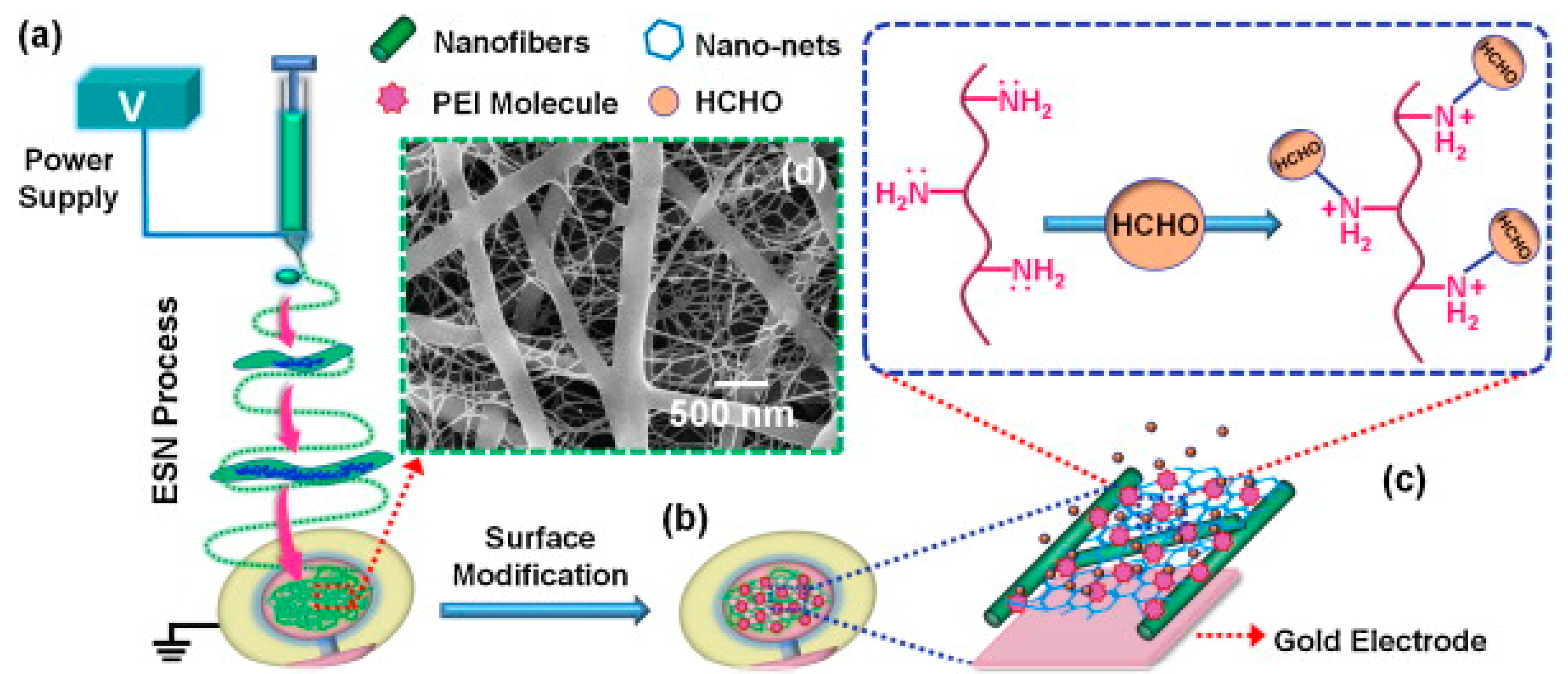 Chemosensors 11 00134 g008
