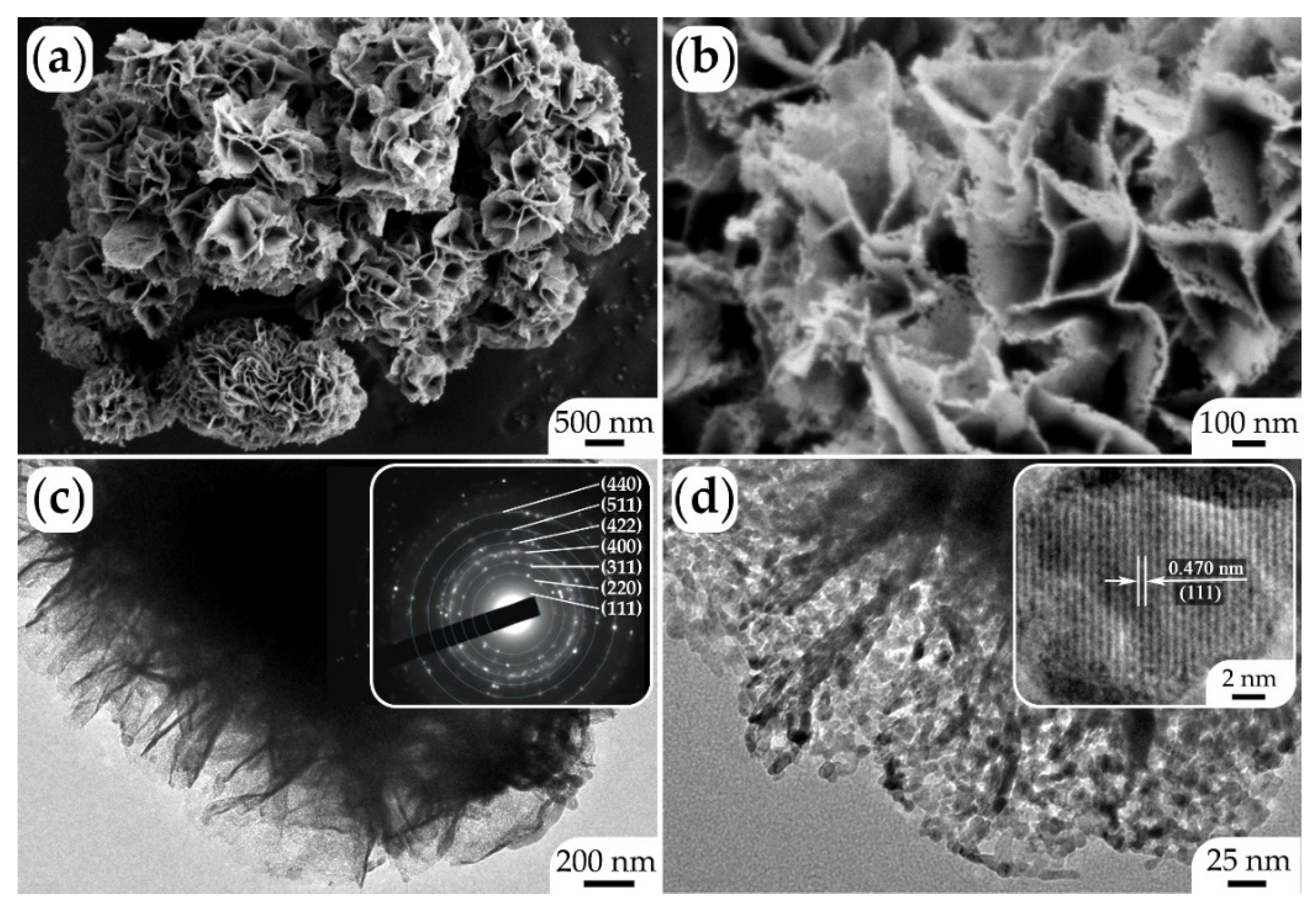 Chemosensors 11 00138 g005 Chemosensors 11 00138 g005
