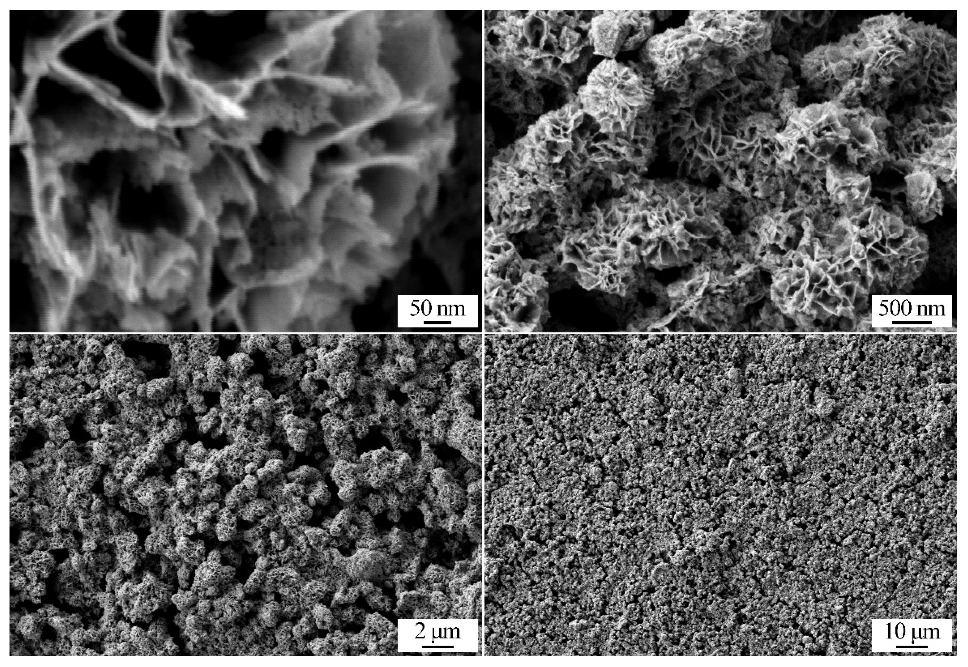 Chemosensors 11 00138 g008 Chemosensors 11 00138 g008