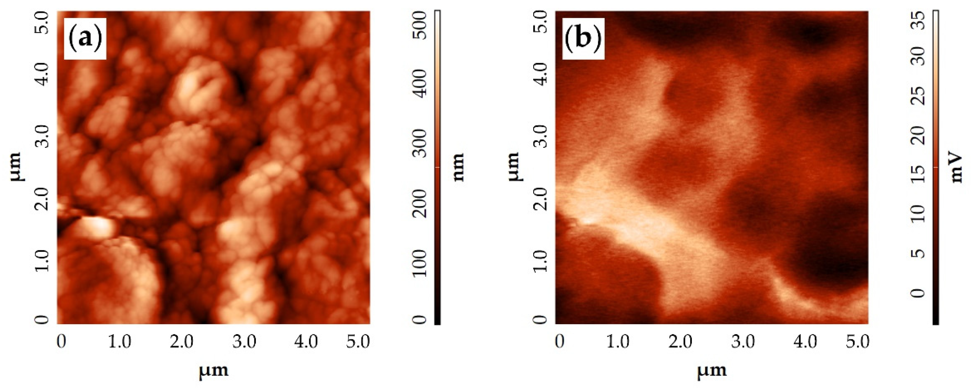 Chemosensors 11 00138 g009 Chemosensors 11 00138 g009