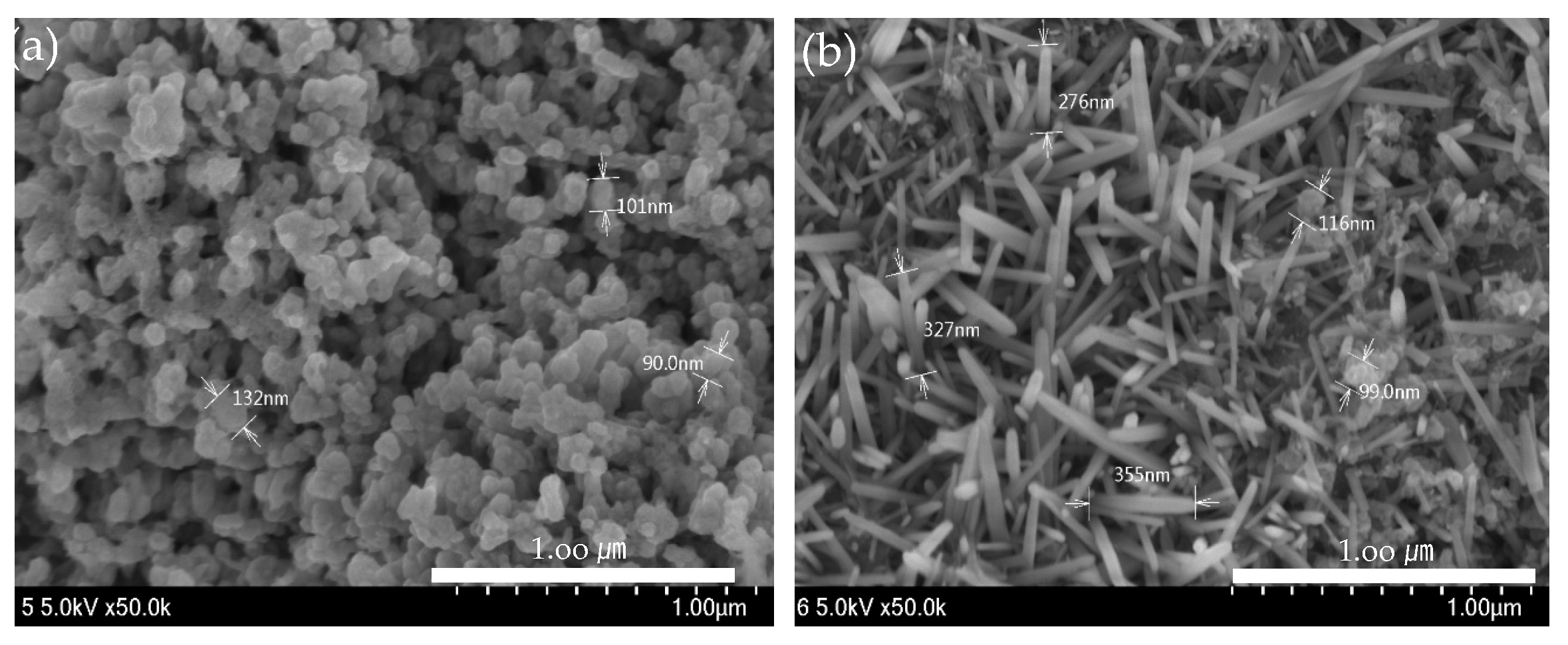 Chemosensors 11 00140 g005