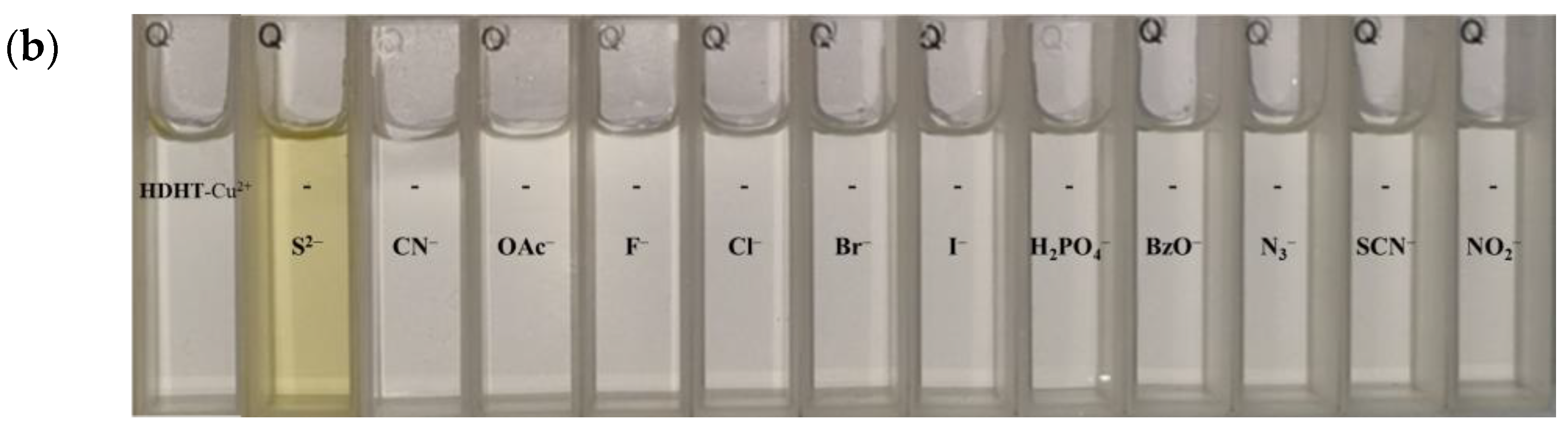 Chemosensors 11 00143 g006b