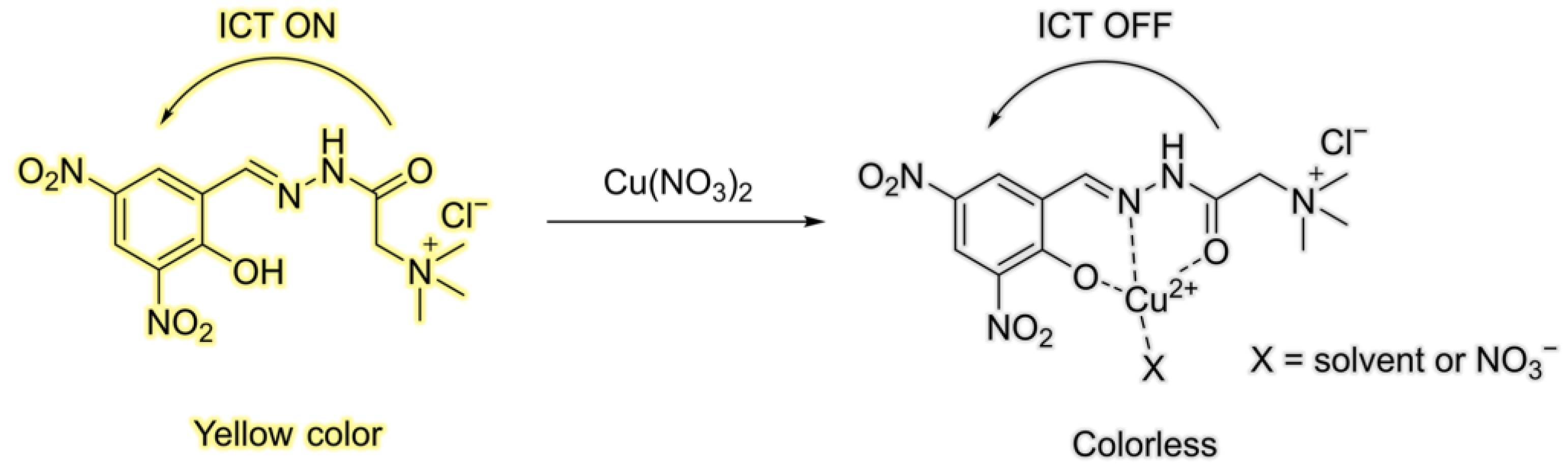 Chemosensors 11 00143 sch002