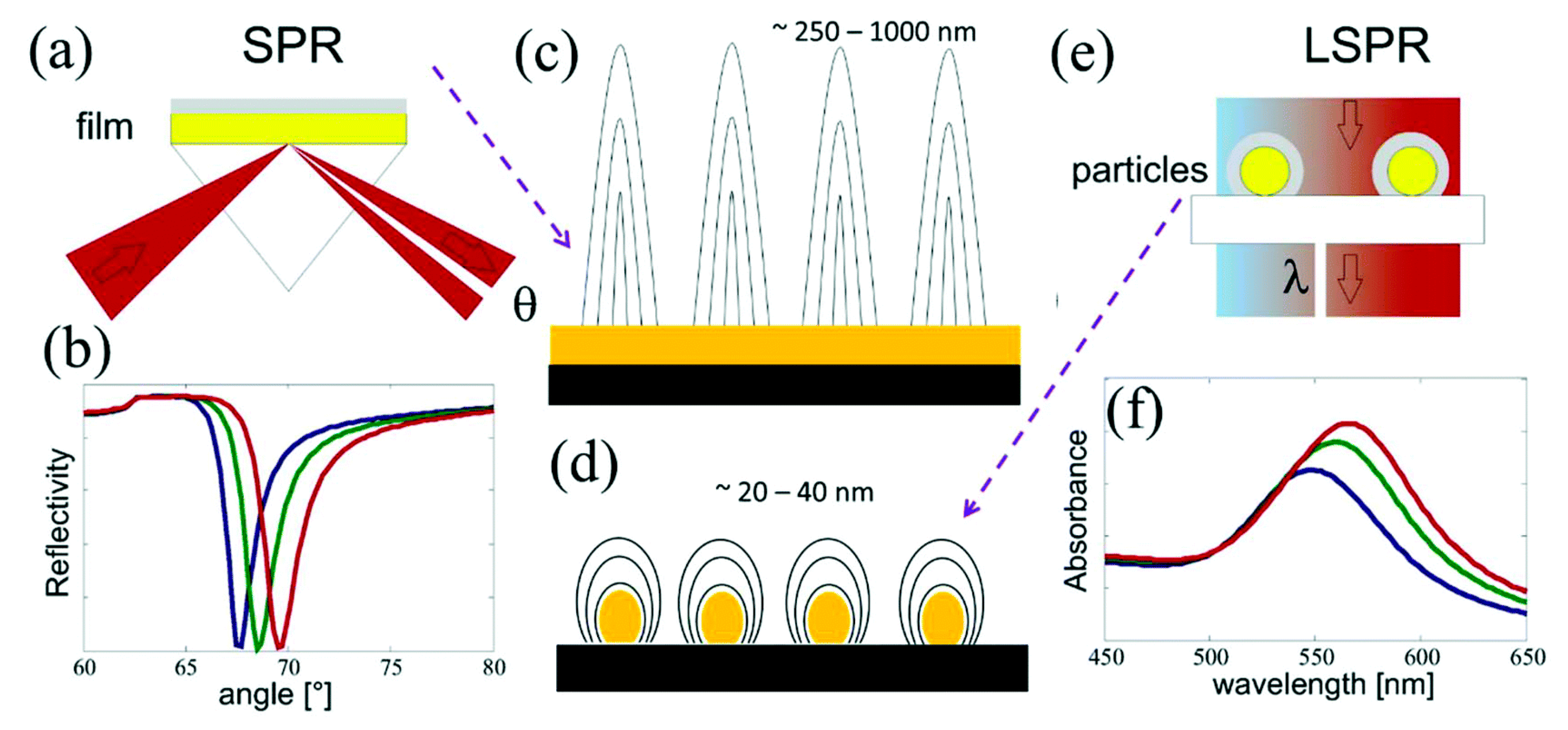 Chemosensors 11 00144 g002 Chemosensors 11 00144 g002