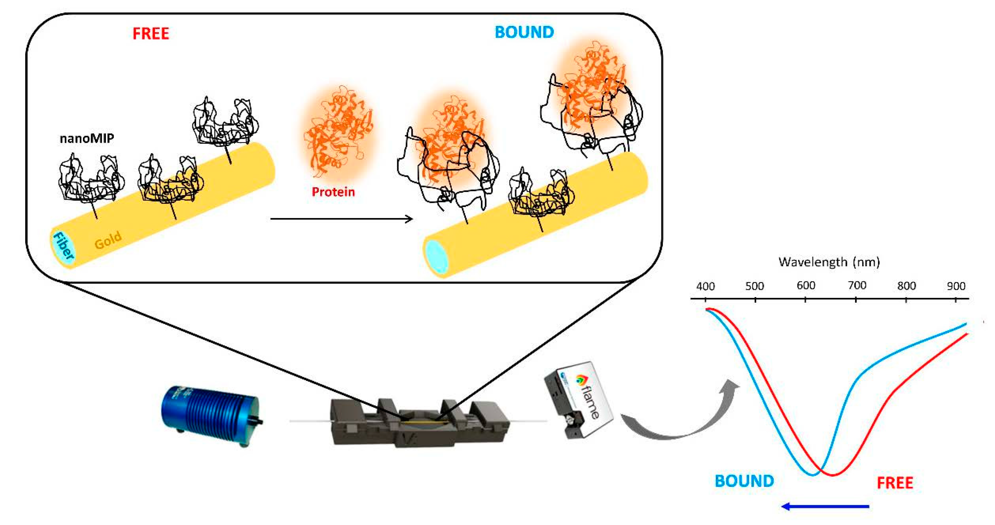 Chemosensors 11 00144 g008 Chemosensors 11 00144 g008