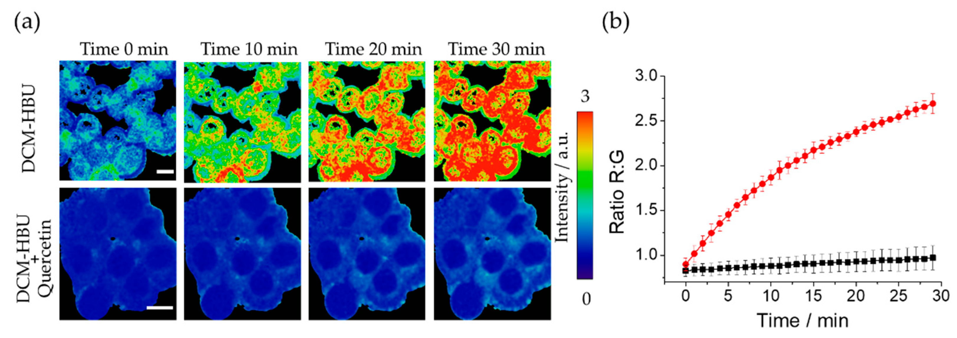 Chemosensors 11 00145 g005