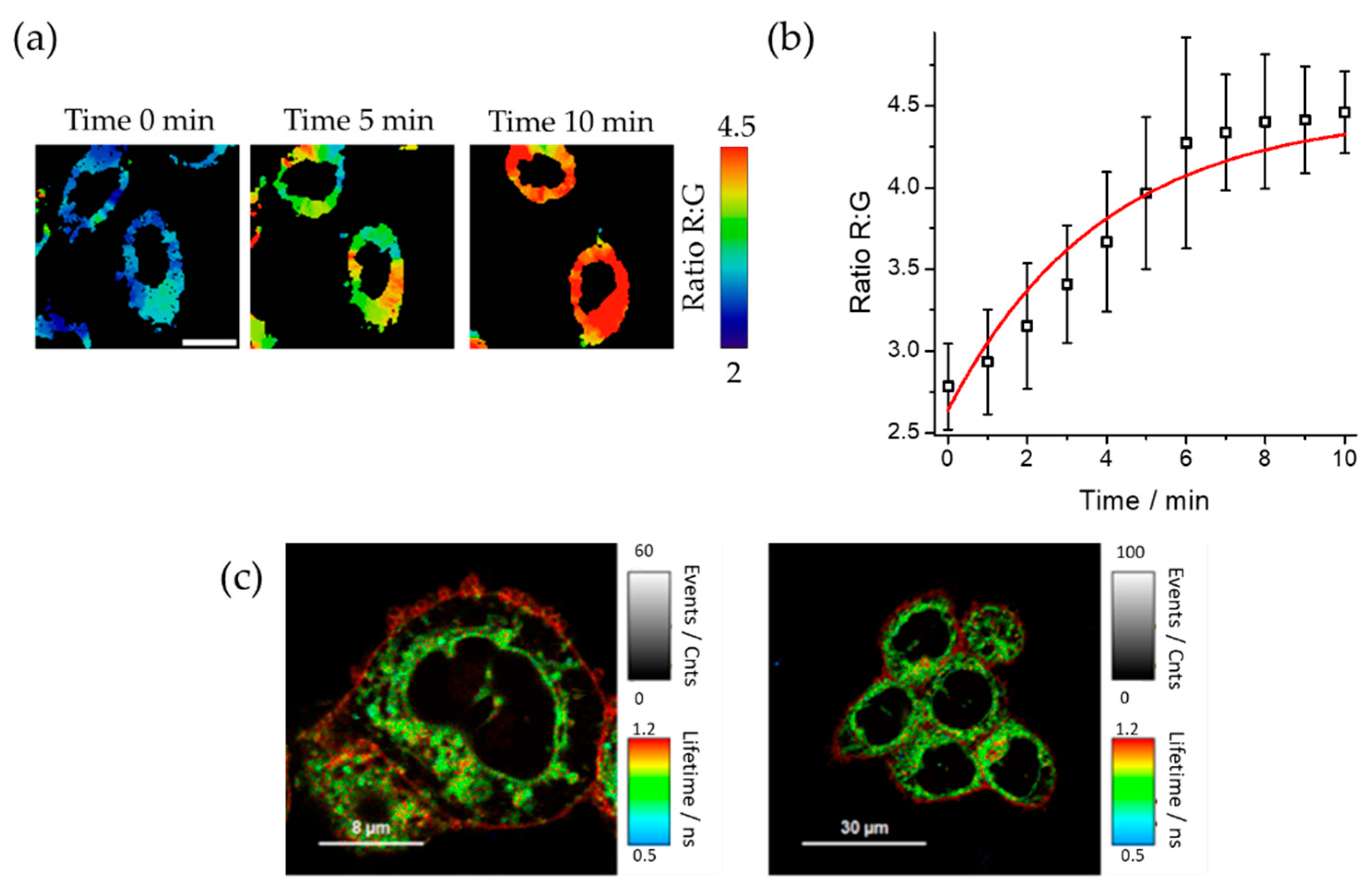 Chemosensors 11 00145 g006