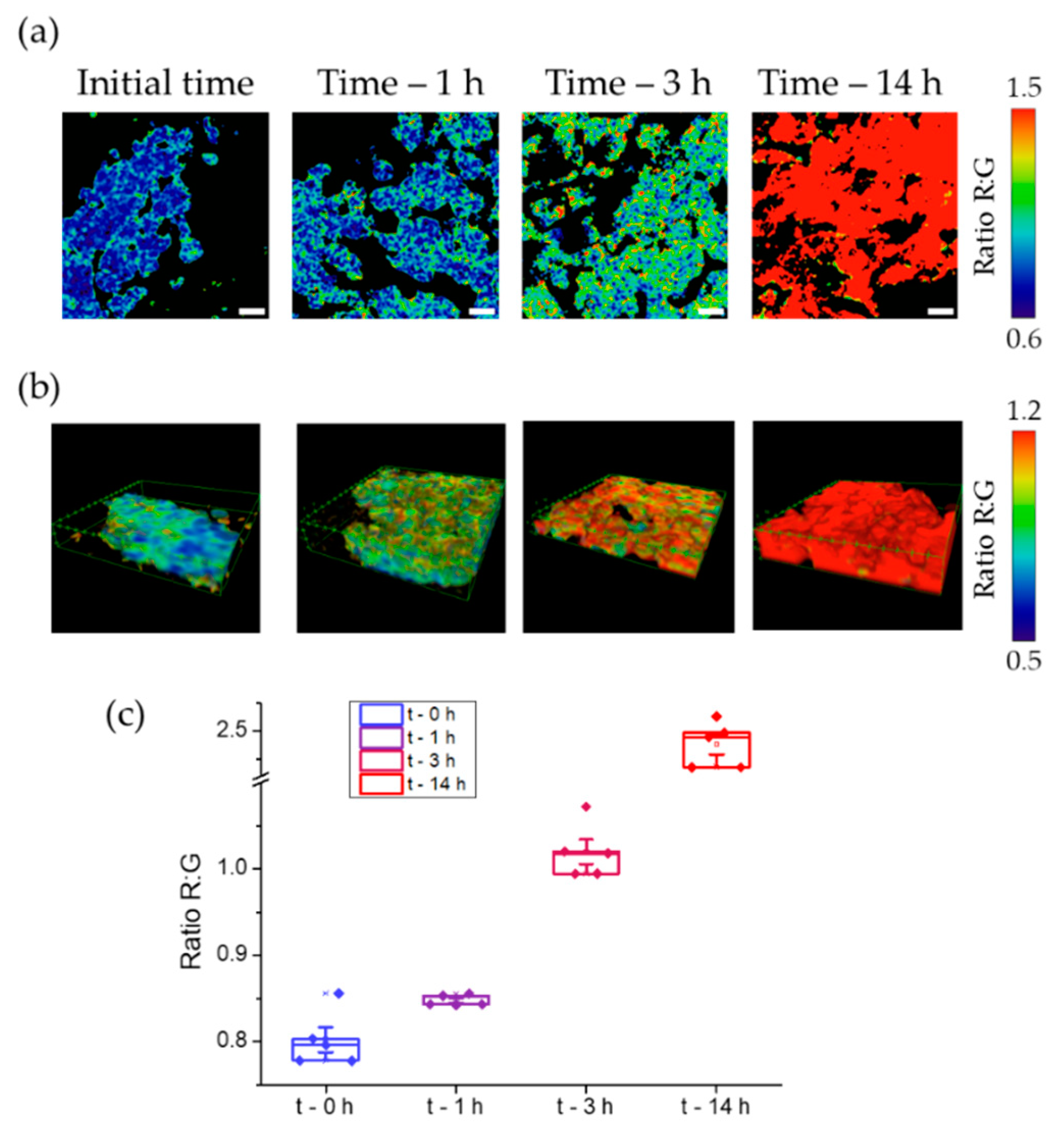 Chemosensors 11 00145 g007