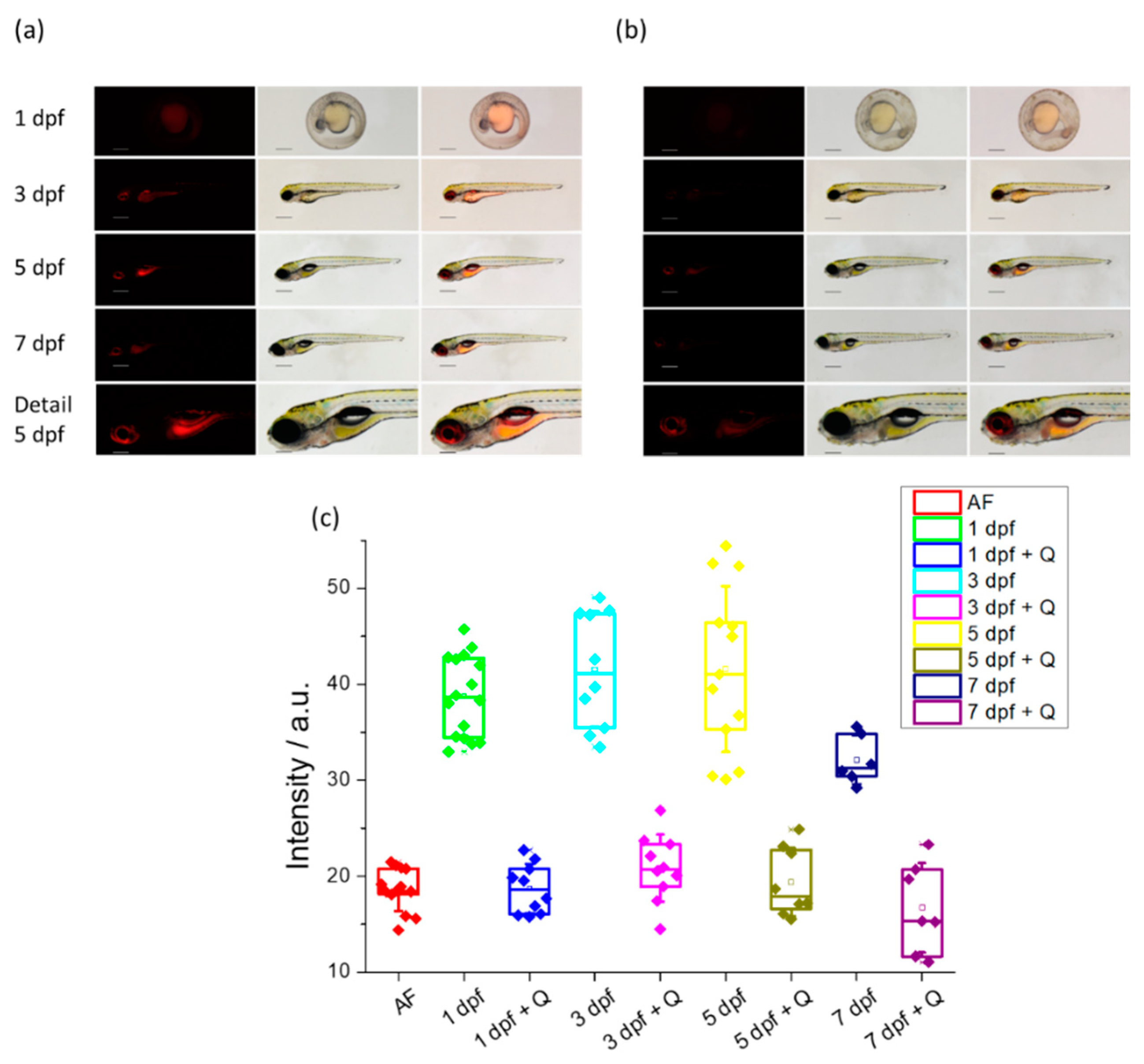 Chemosensors 11 00145 g008