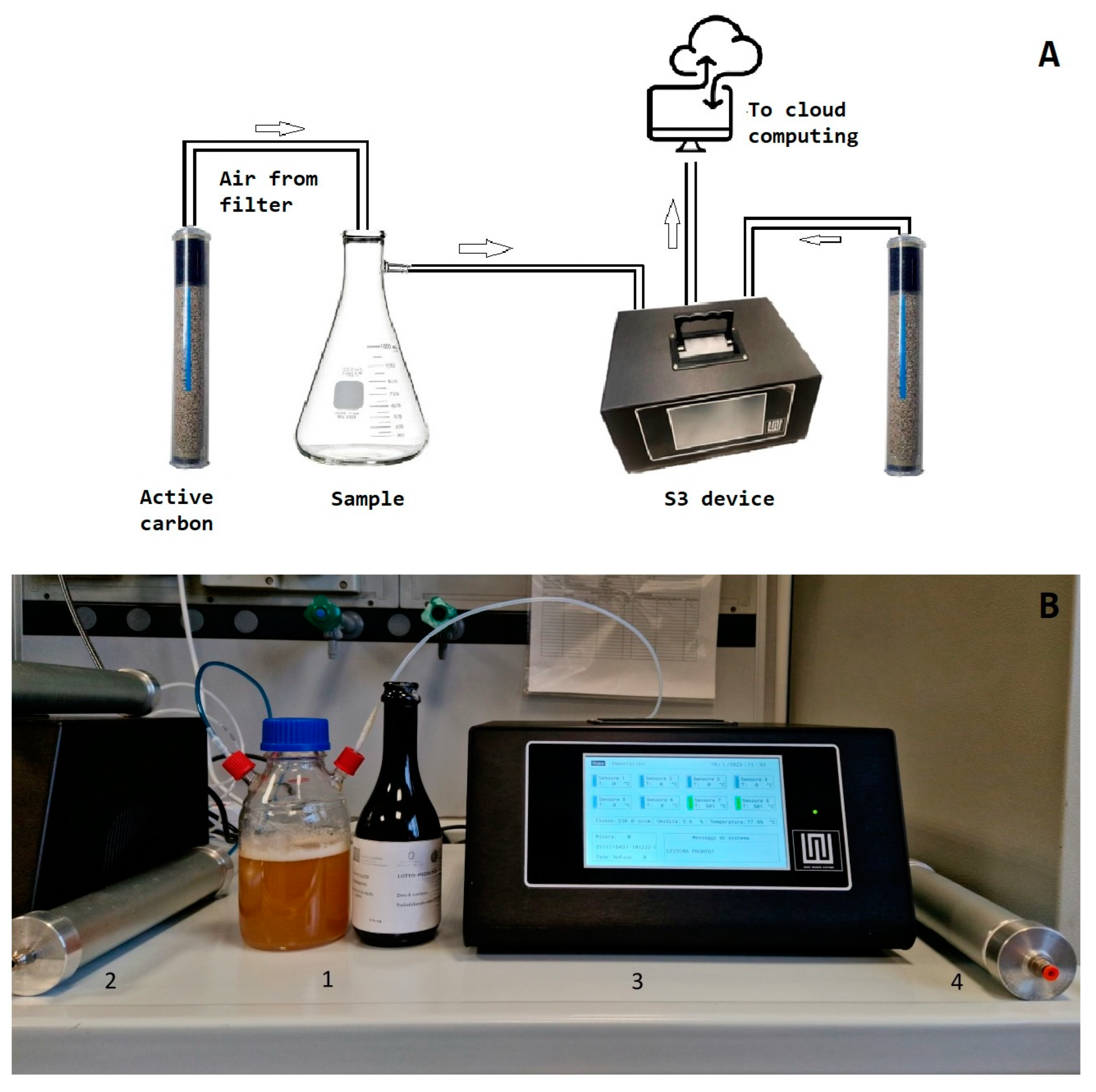 Chemosensors 11 00147 g001