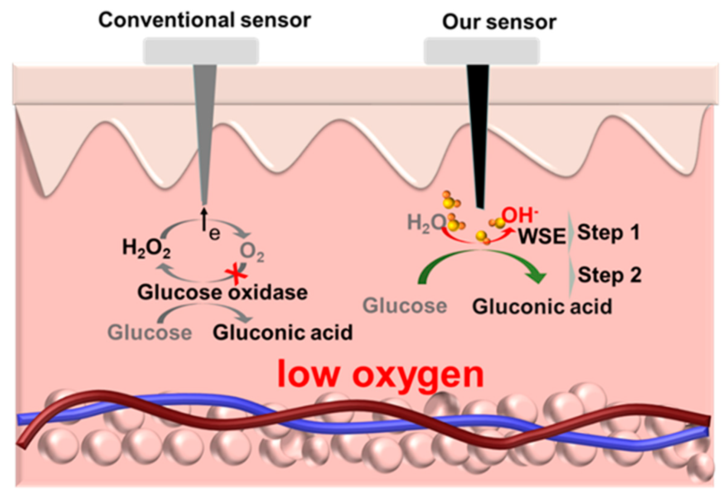 Chemosensors 11 00149 g001
