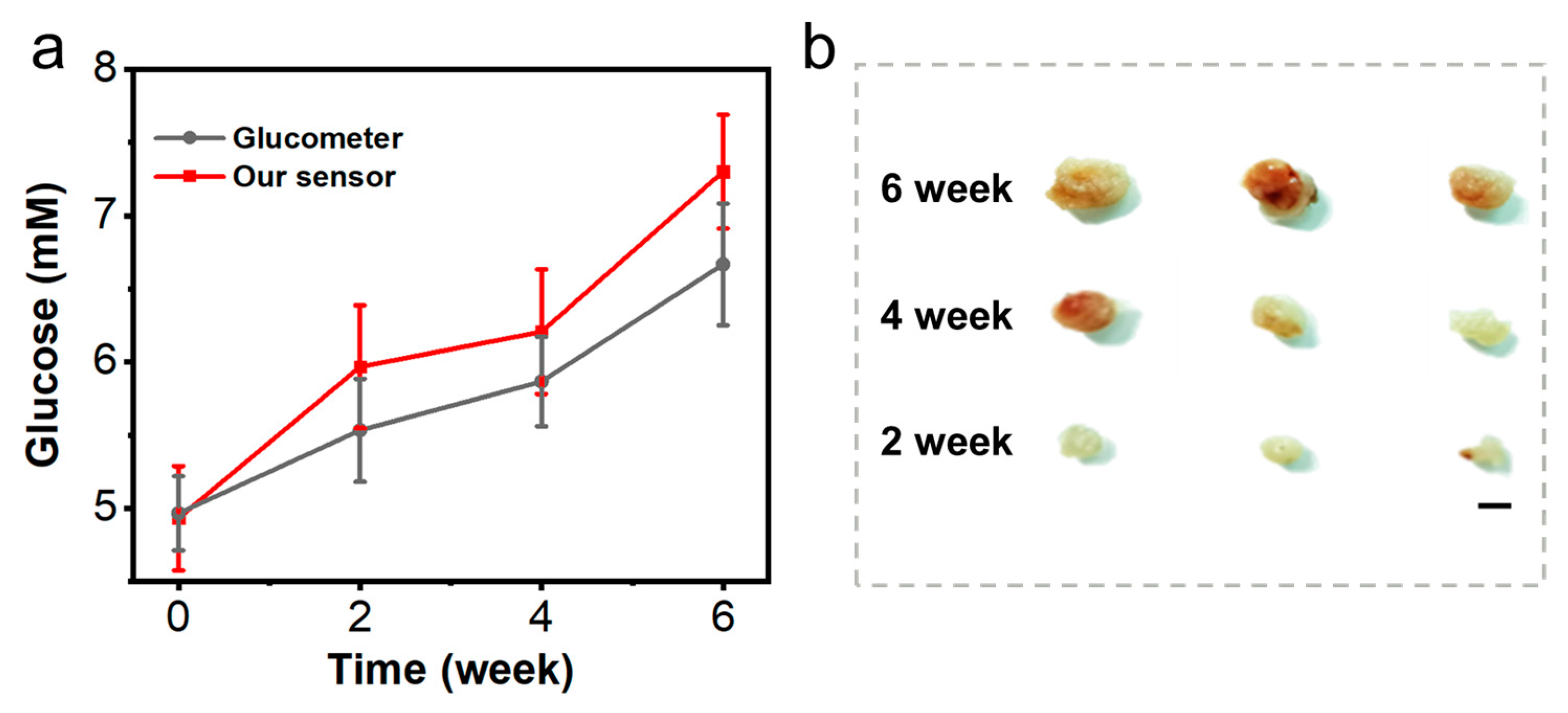 Chemosensors 11 00149 g006