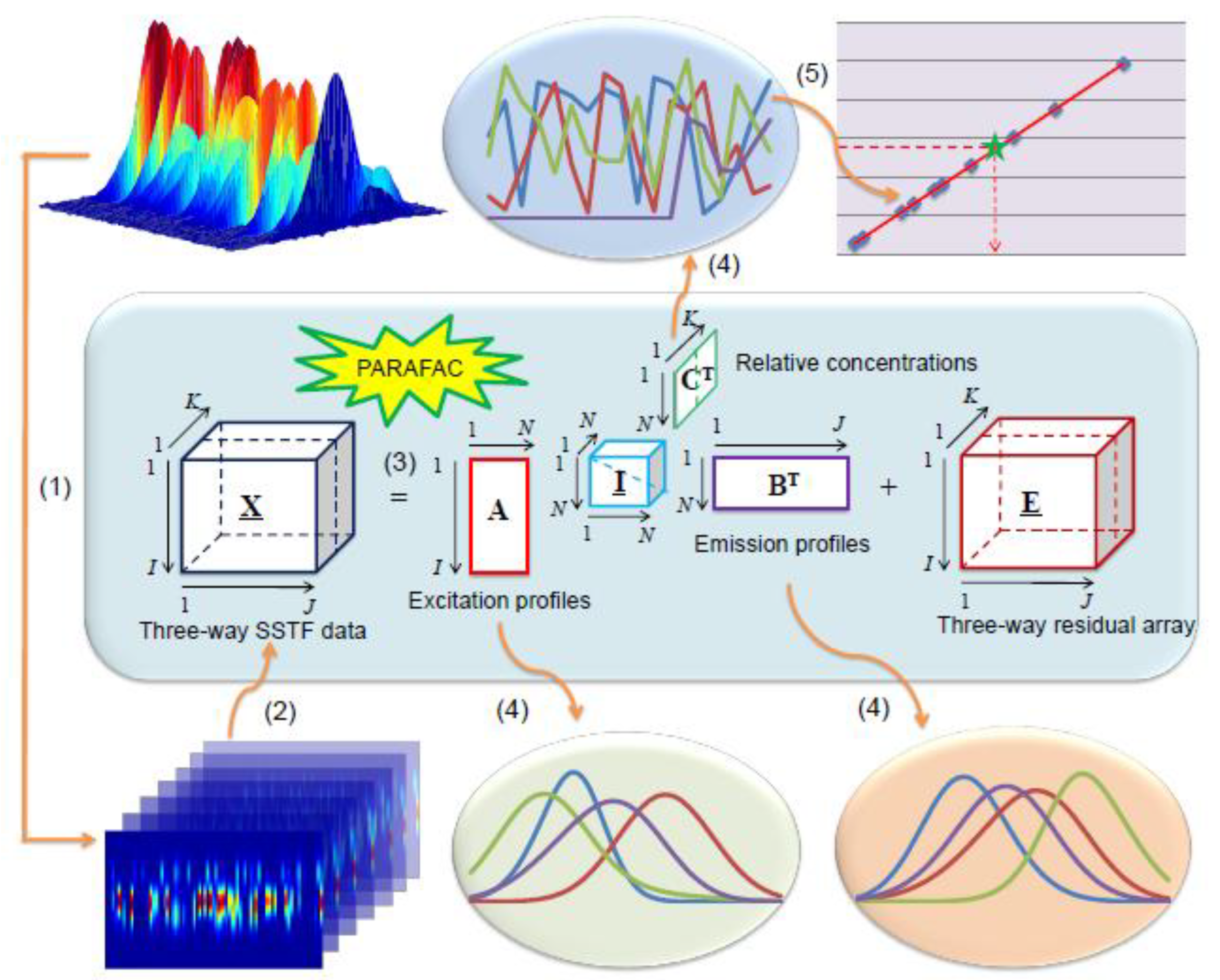 Chemosensors 11 00150 g001
