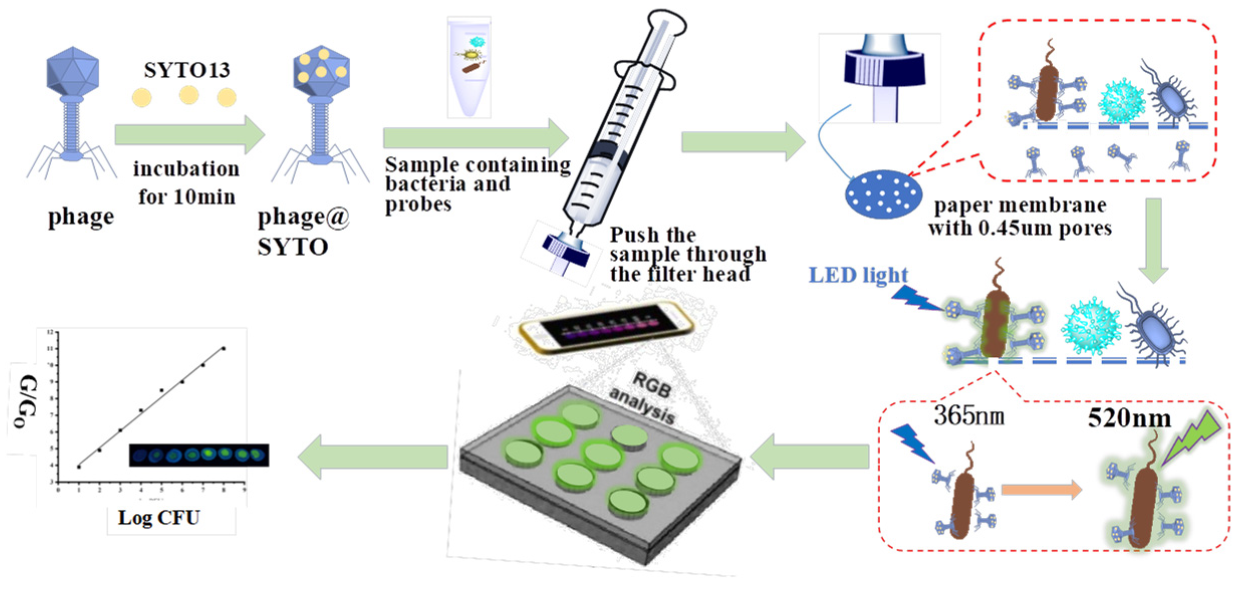 Chemosensors 11 00151 g001 Chemosensors 11 00151 g001
