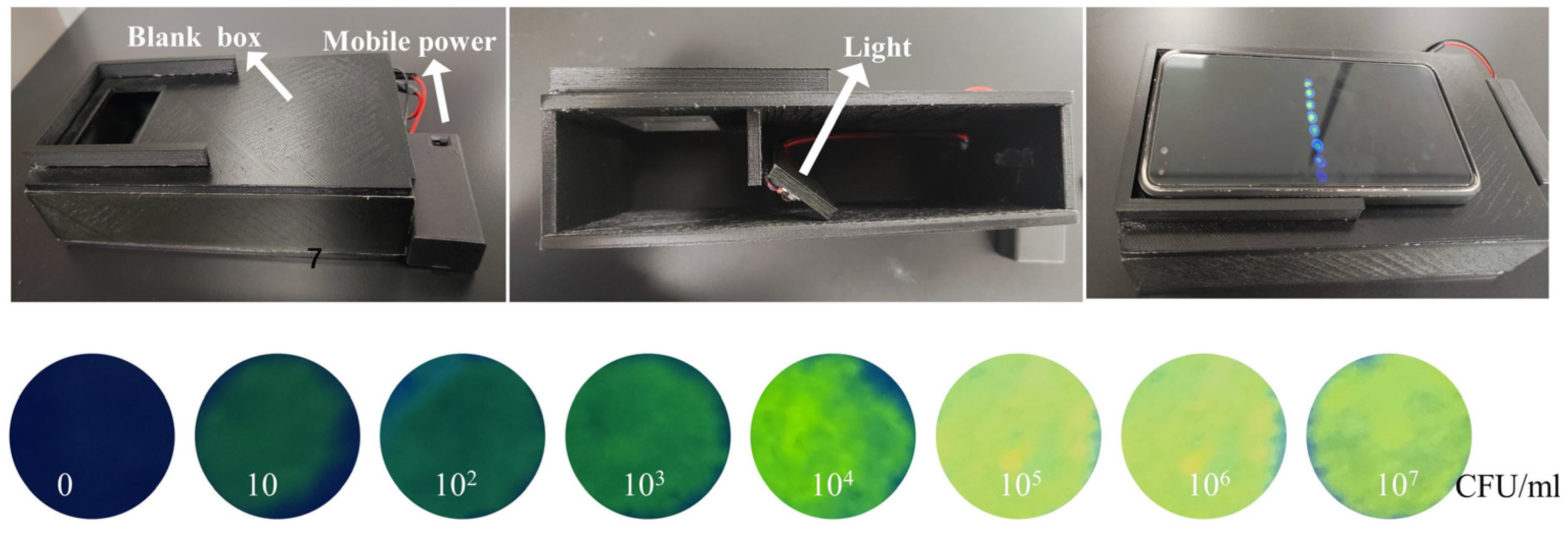 Chemosensors 11 00151 g006a Chemosensors 11 00151 g006a