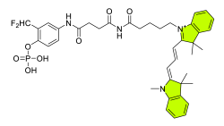 Chemosensors 11 00155 i004 Chemosensors 11 00155 i004